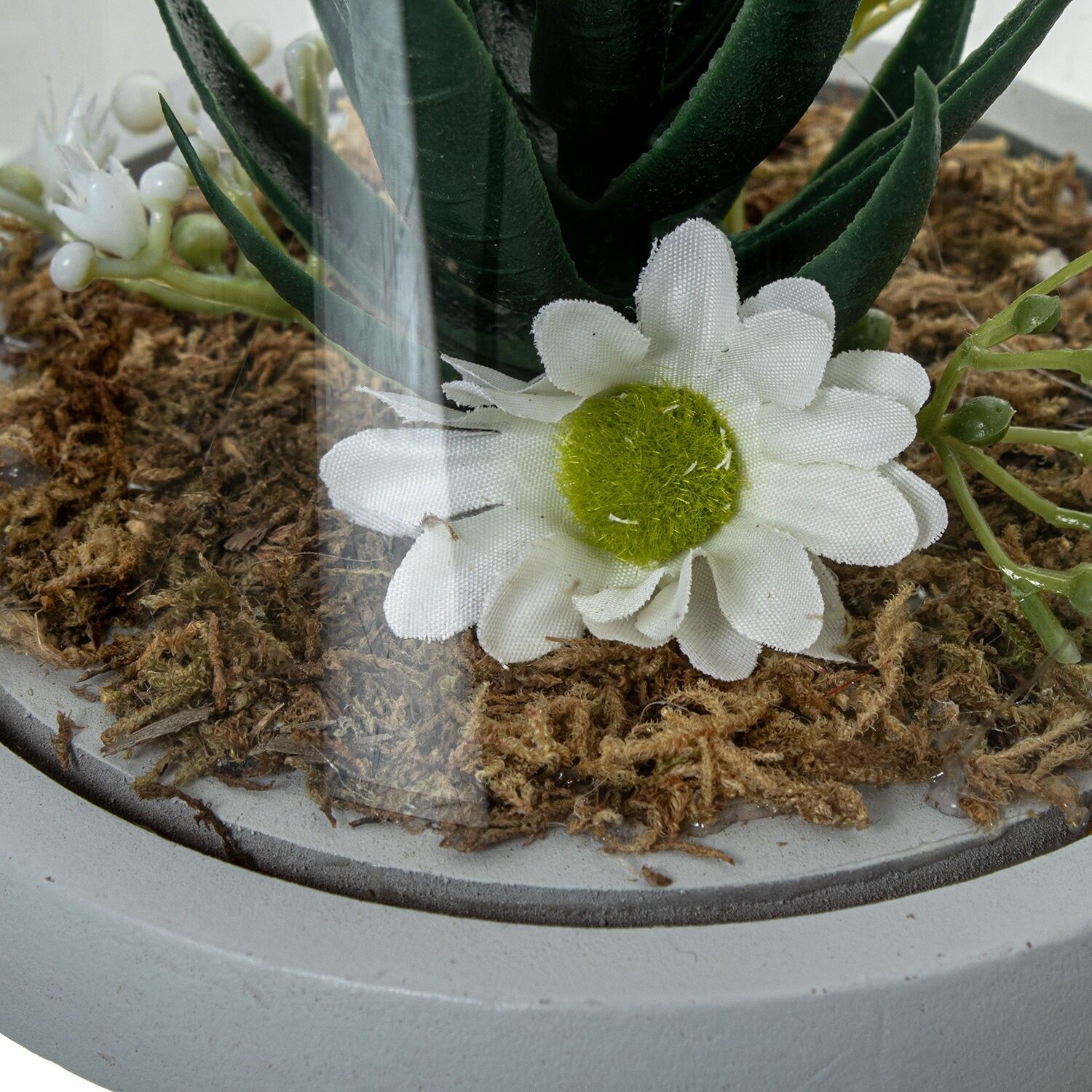 Urna cristal con base madera y cactus artificiales surt 11, 5x14, 5cm ST10680