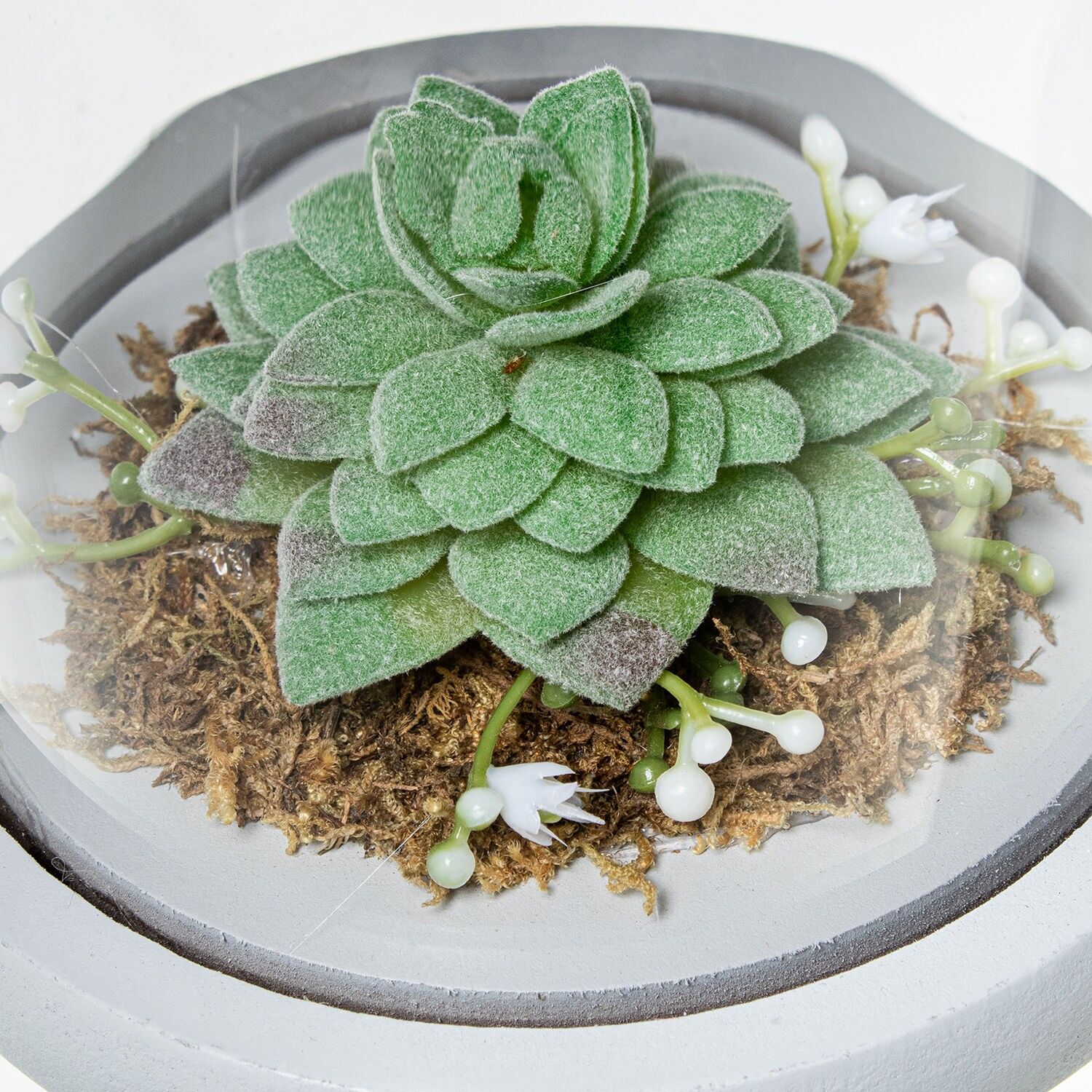 Urna cristal con base madera y cactus artificiales surt 11, 5x14, 5cm ST10680