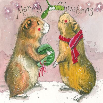 Festive Guinea Pigs Christmas Card Pack (Pack of 5 Cards)