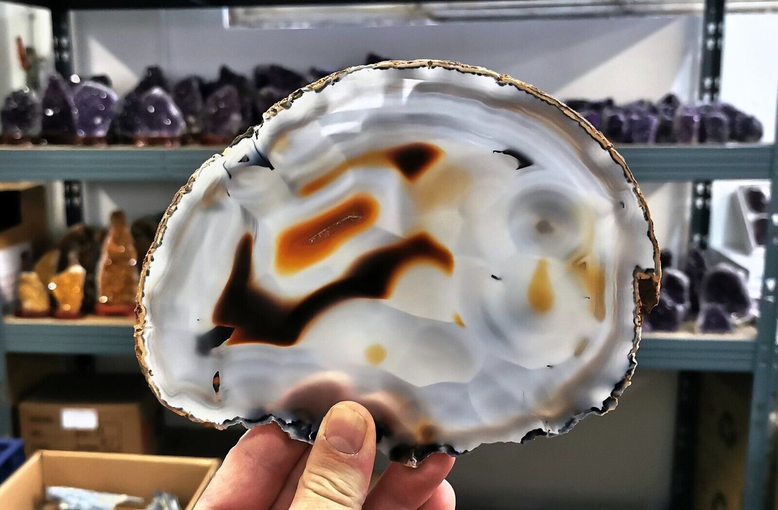 Agata - fette sottili misura 08 - Grado A - 1 kg