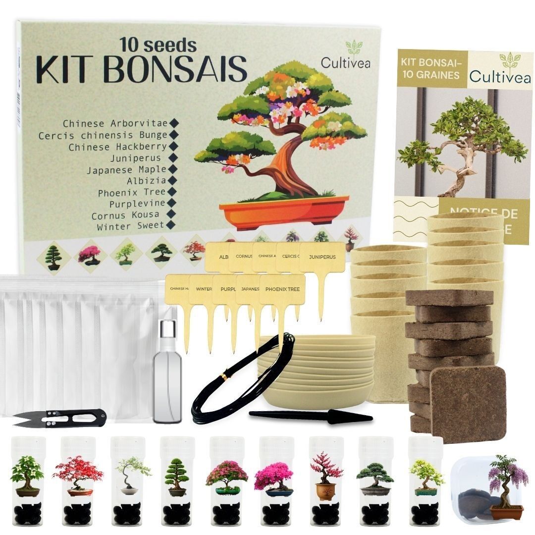 Kit per la semina di 10 bonsai CULTIVEA® – Set completo con semi, vasi, attrezzi e istruzioni – Kit facile per la semina in casa – Idea regalo per il giardinaggio | Prodotto in Francia