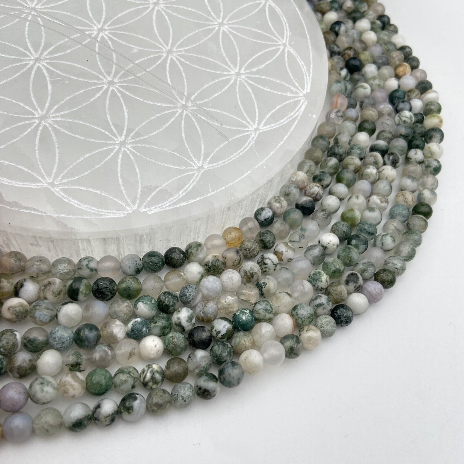 Rang - Baumachat (6 mm)