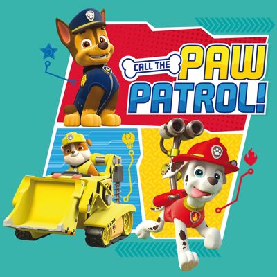 Keilrahmen PAW Patrol ca. 35x35 cm, Nr. 997