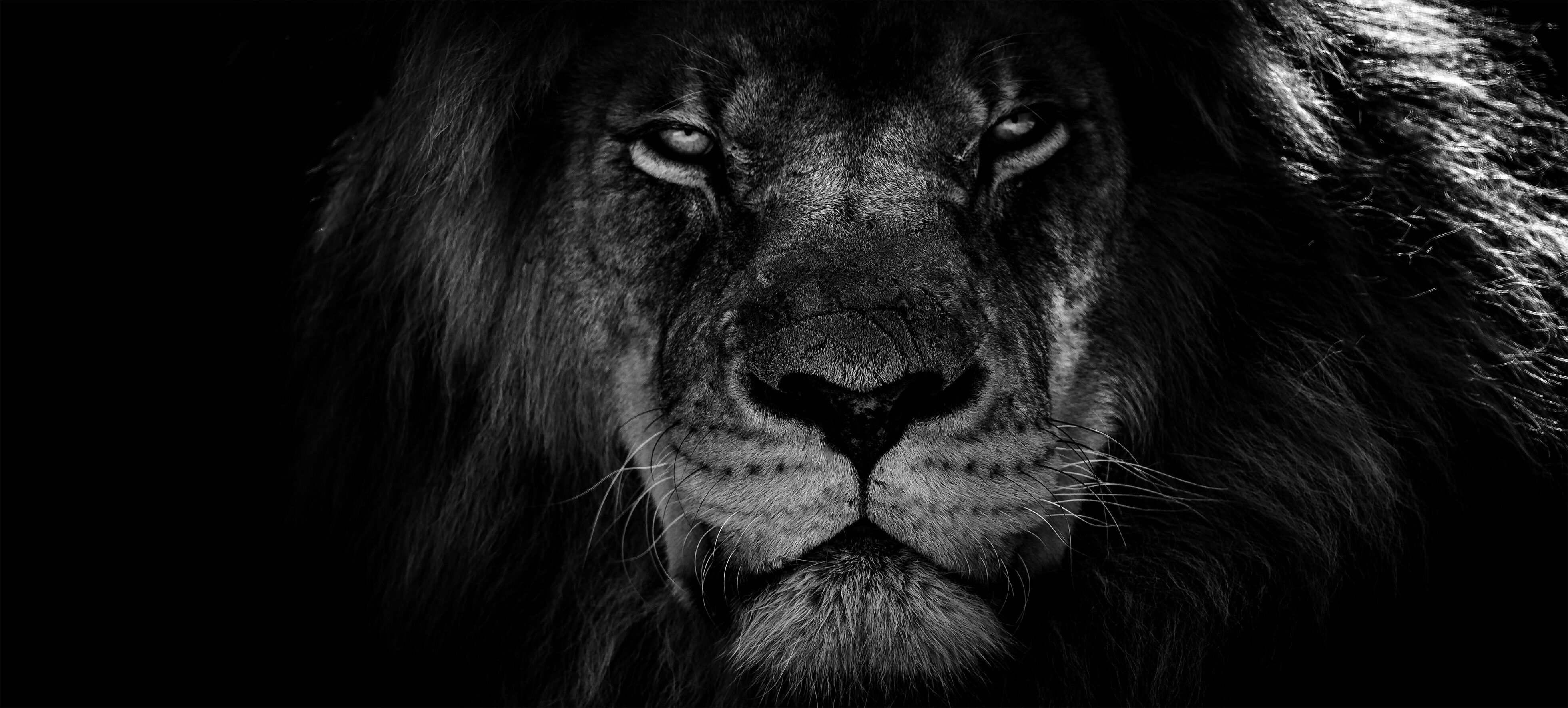 Quadri Su Tela 5 Pezzi Cascata Della Tigre - Decorazione Murale Moderna Per Soggiorno, Camera