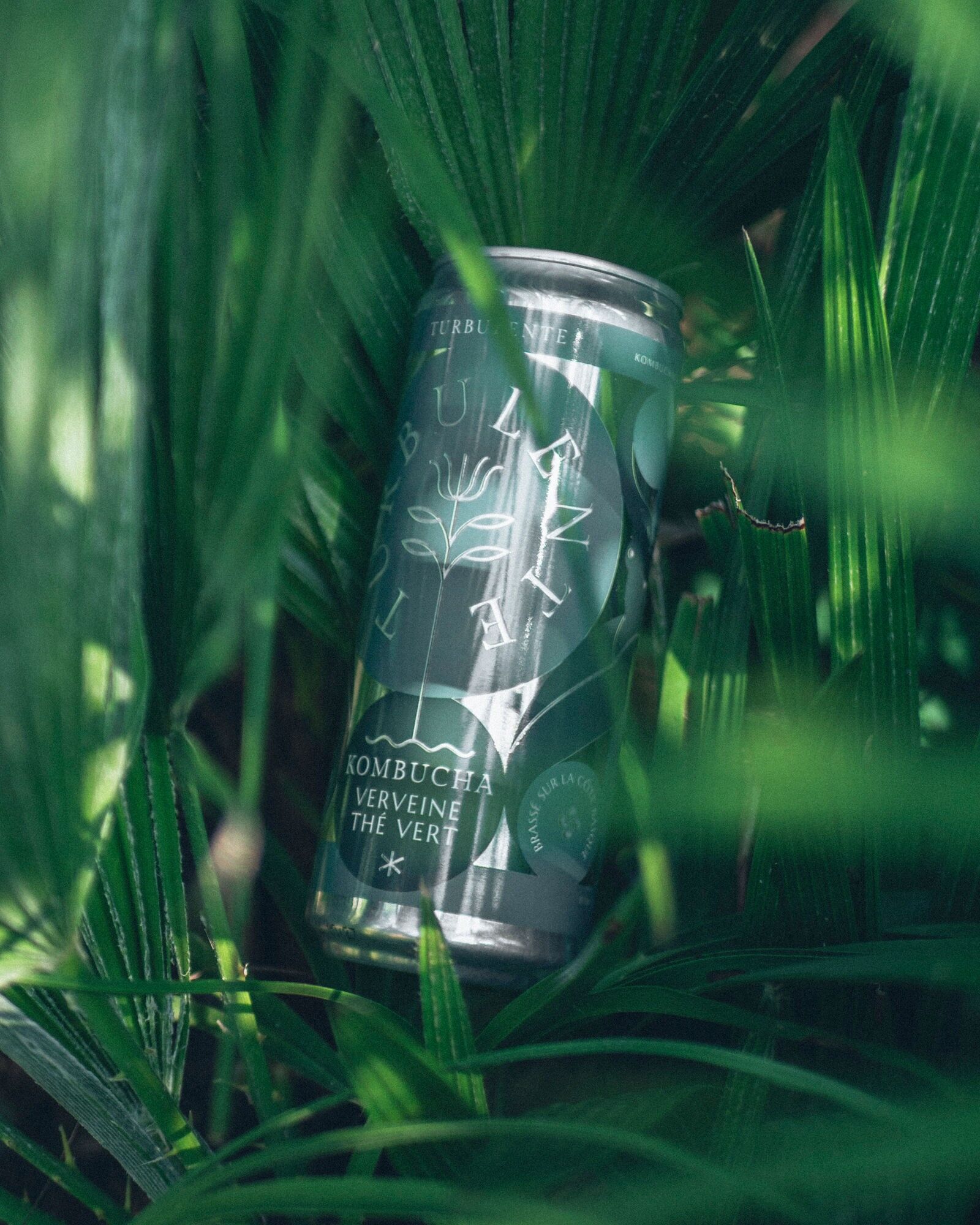 Kombucha mit Eisenkraut und Grüntee / Bio, pasteurisiert / 33-cl-Dose