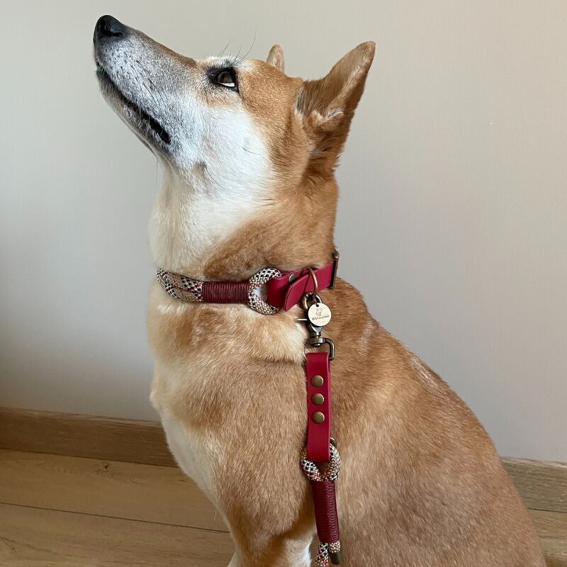 TWO-MATTE DOG COLLAR: RED BIOTHANE AND TARTAN PARACORD
