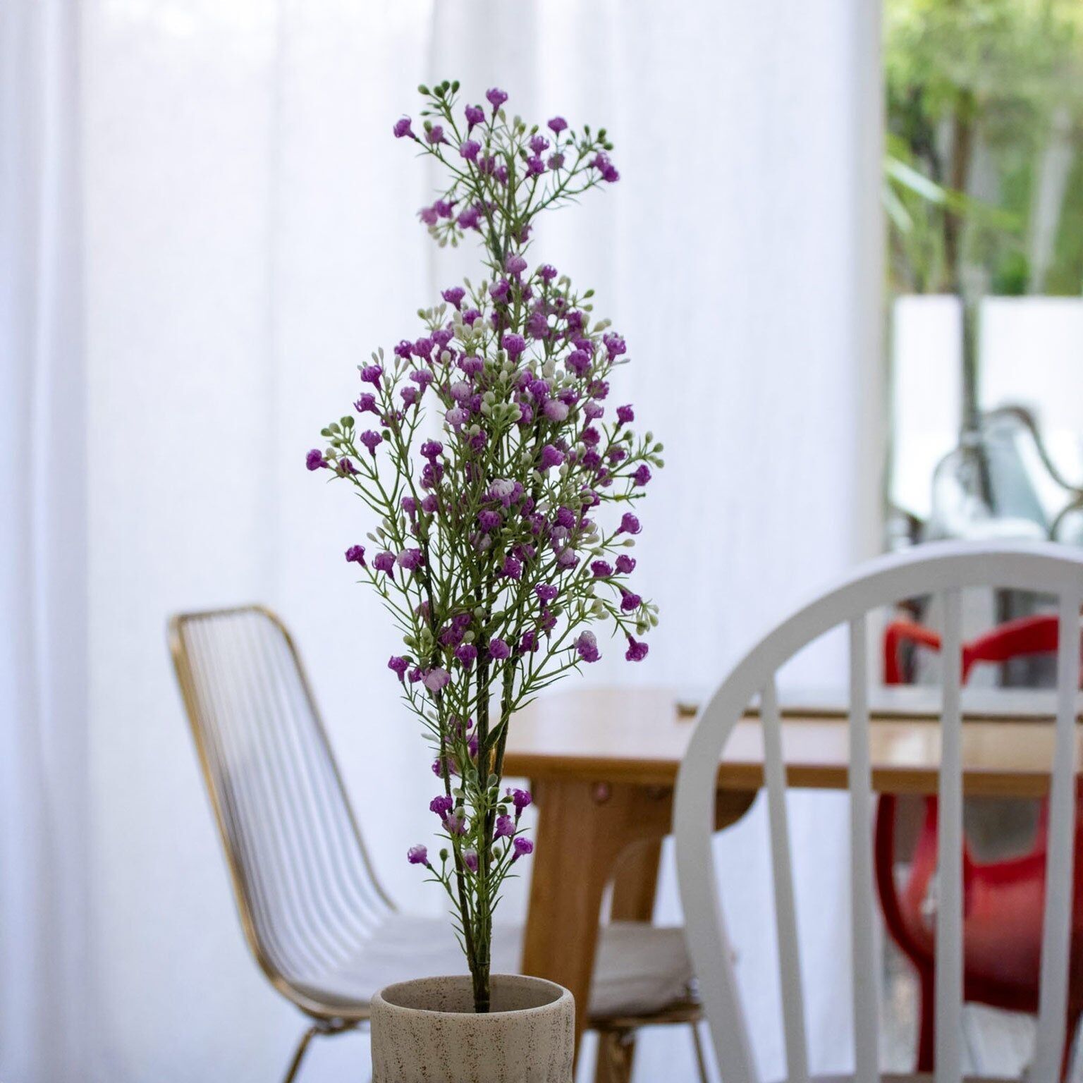 Ramo di gipsofila malva