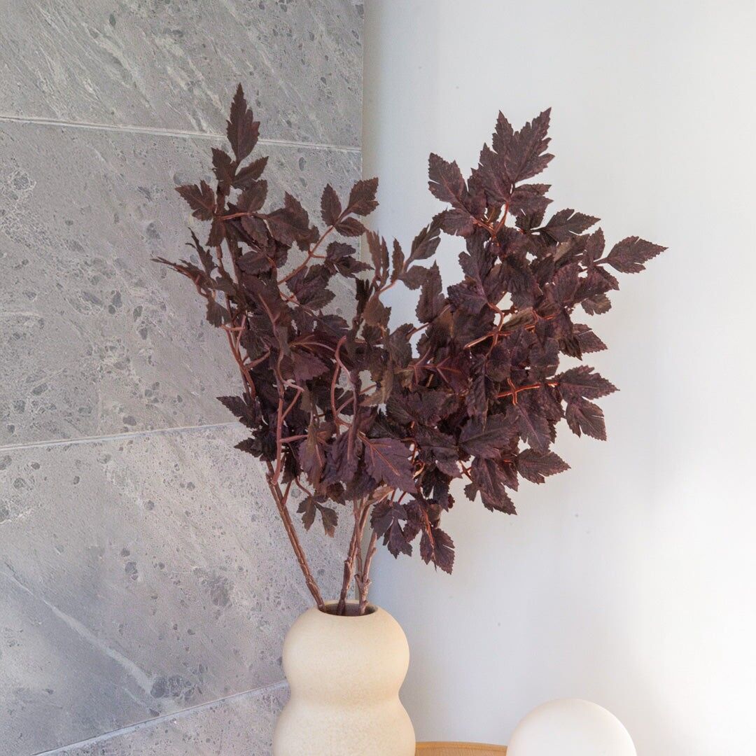 Artificial branch of Cimicifuga