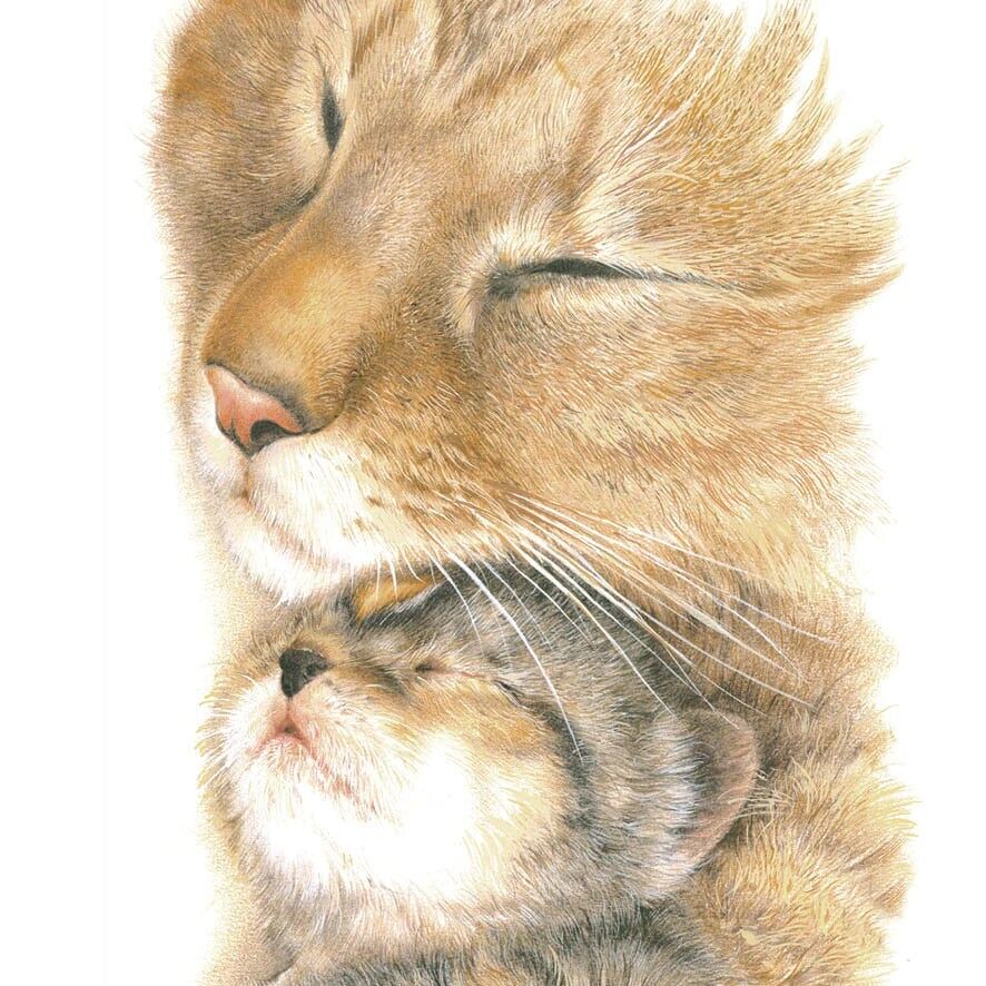 Carte carrée - Il n'y a rien de tel que l'amour d'une mère...