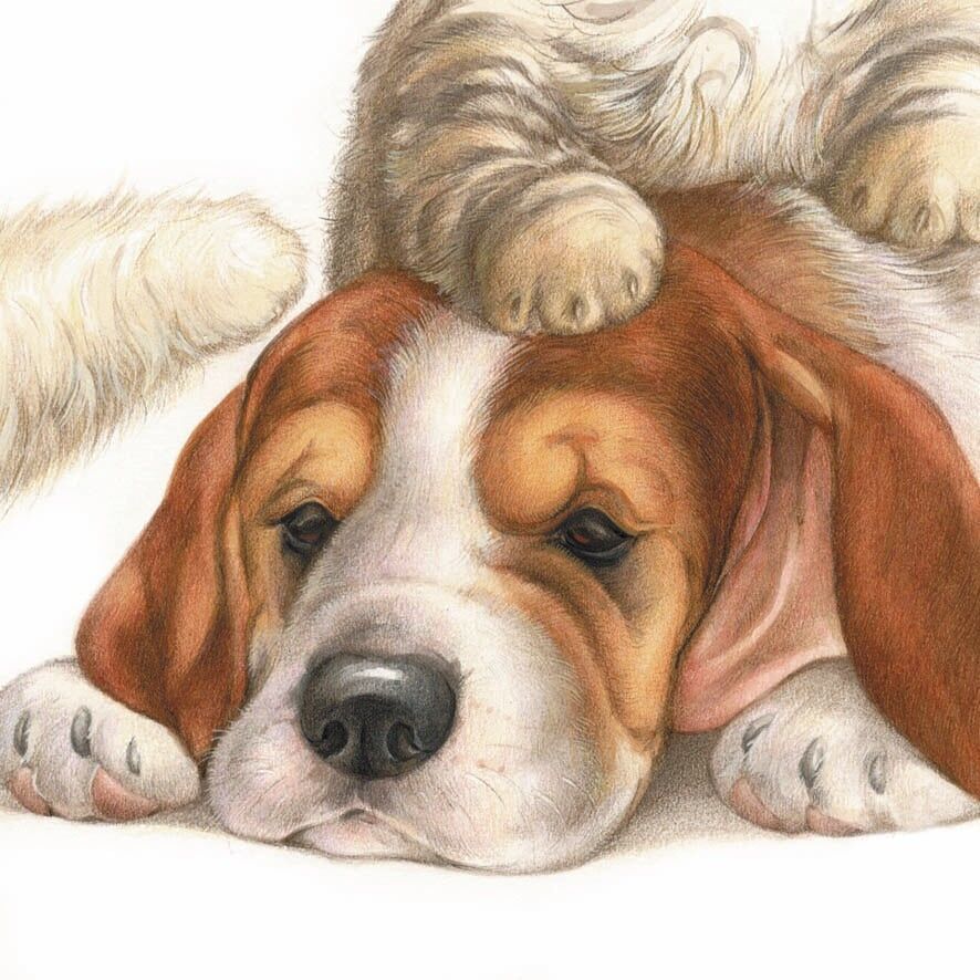 Carte de prompt rétablissement et de soutien à afficher - Lot de 10