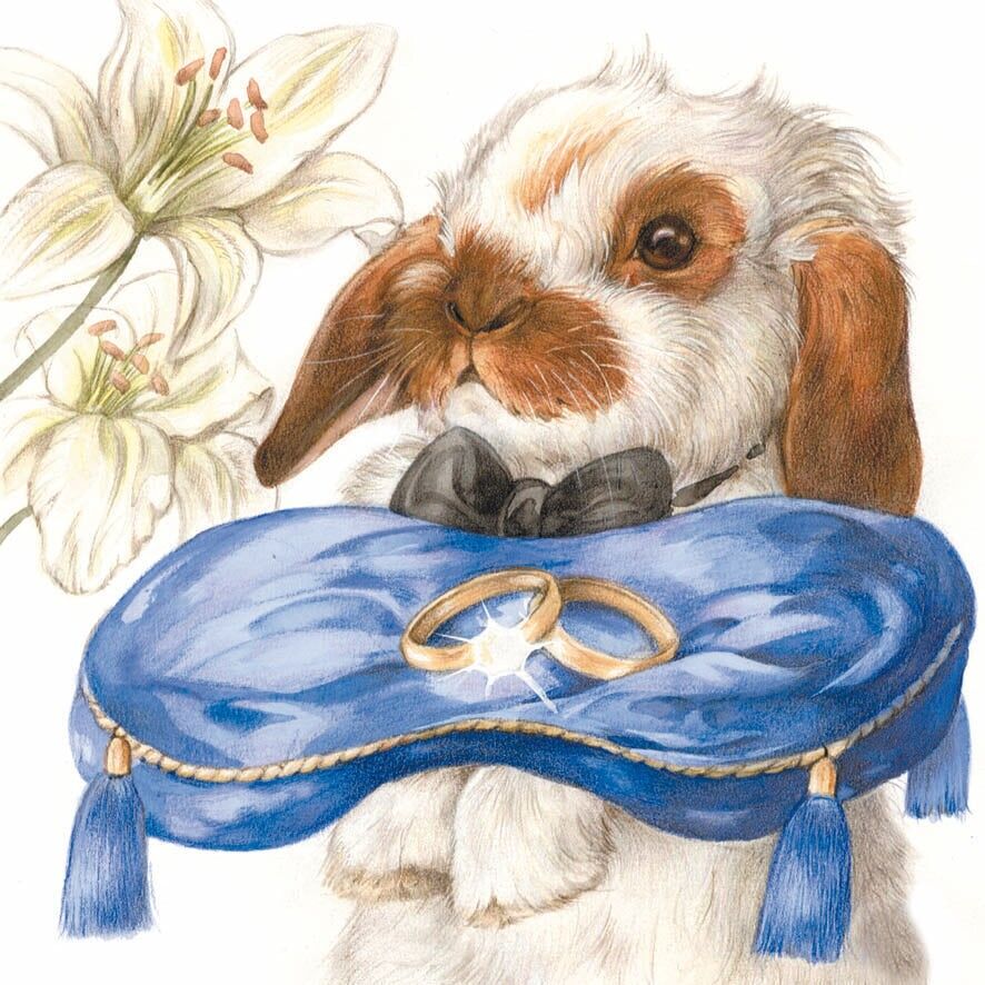 Carte de présentation - Lapin avec alliance - Lot de 10