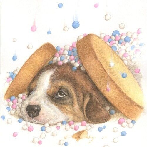 Carte de présentation - Beagle avec biscottes - pour 10 pièces