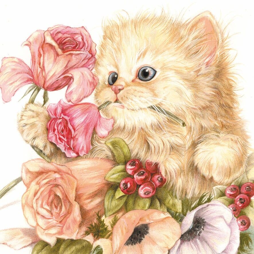 Carte de présentation - Chat aux roses - 10 pièces