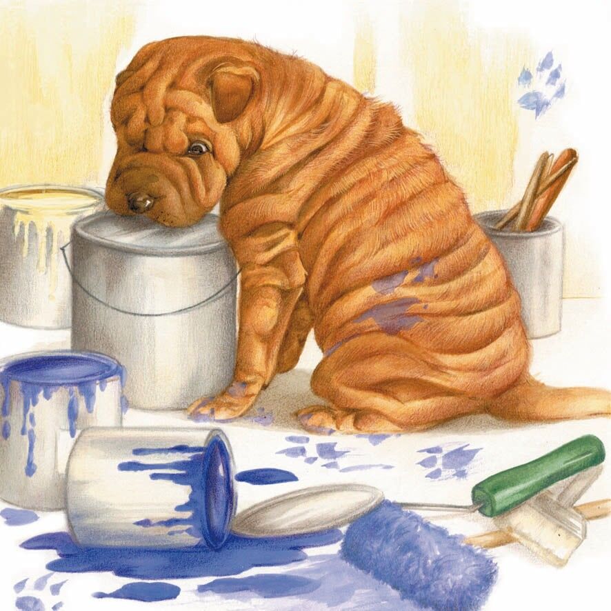 Carte d'affichage - Sharpei Working - Lot de 10