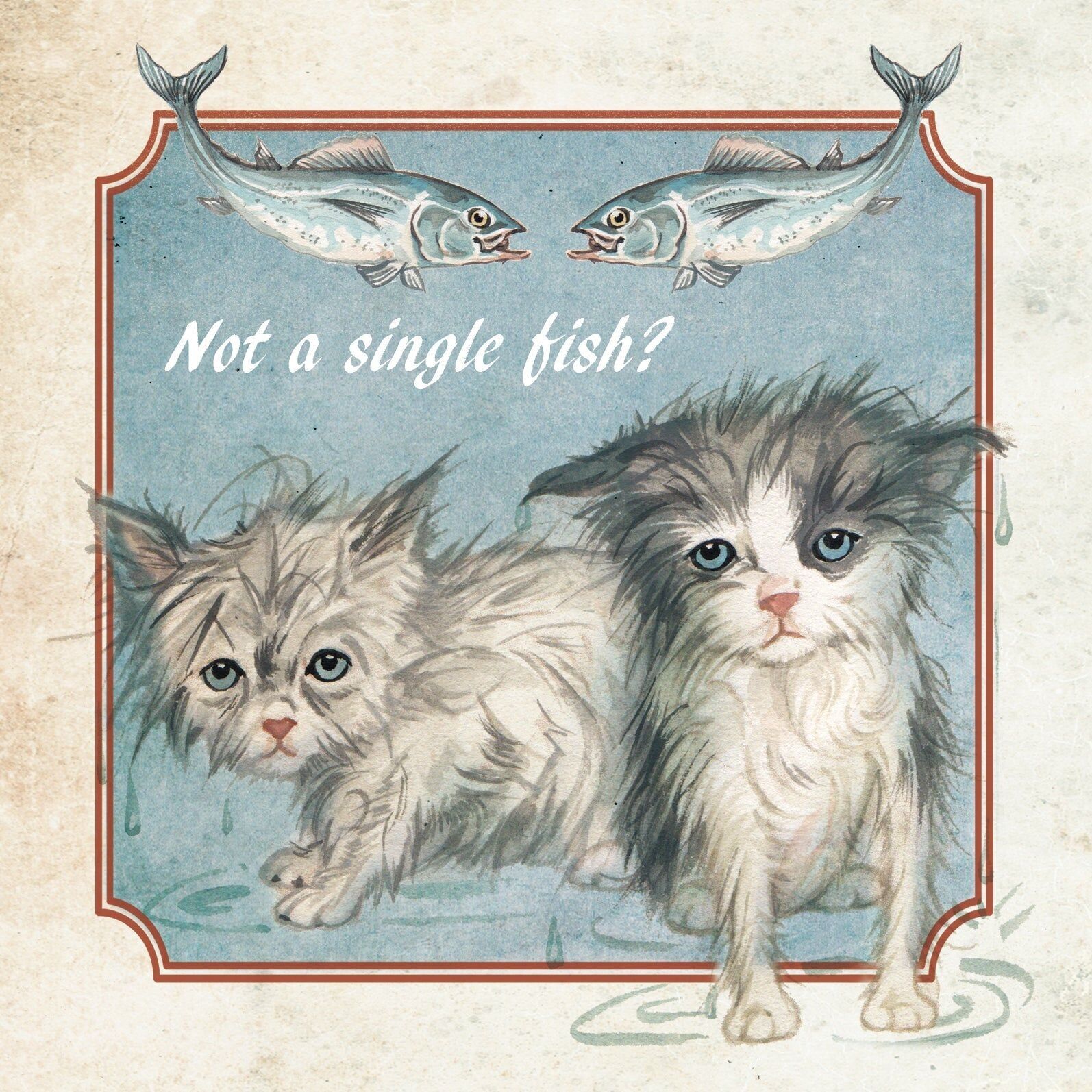 Carte carrée - Pas un seul poisson