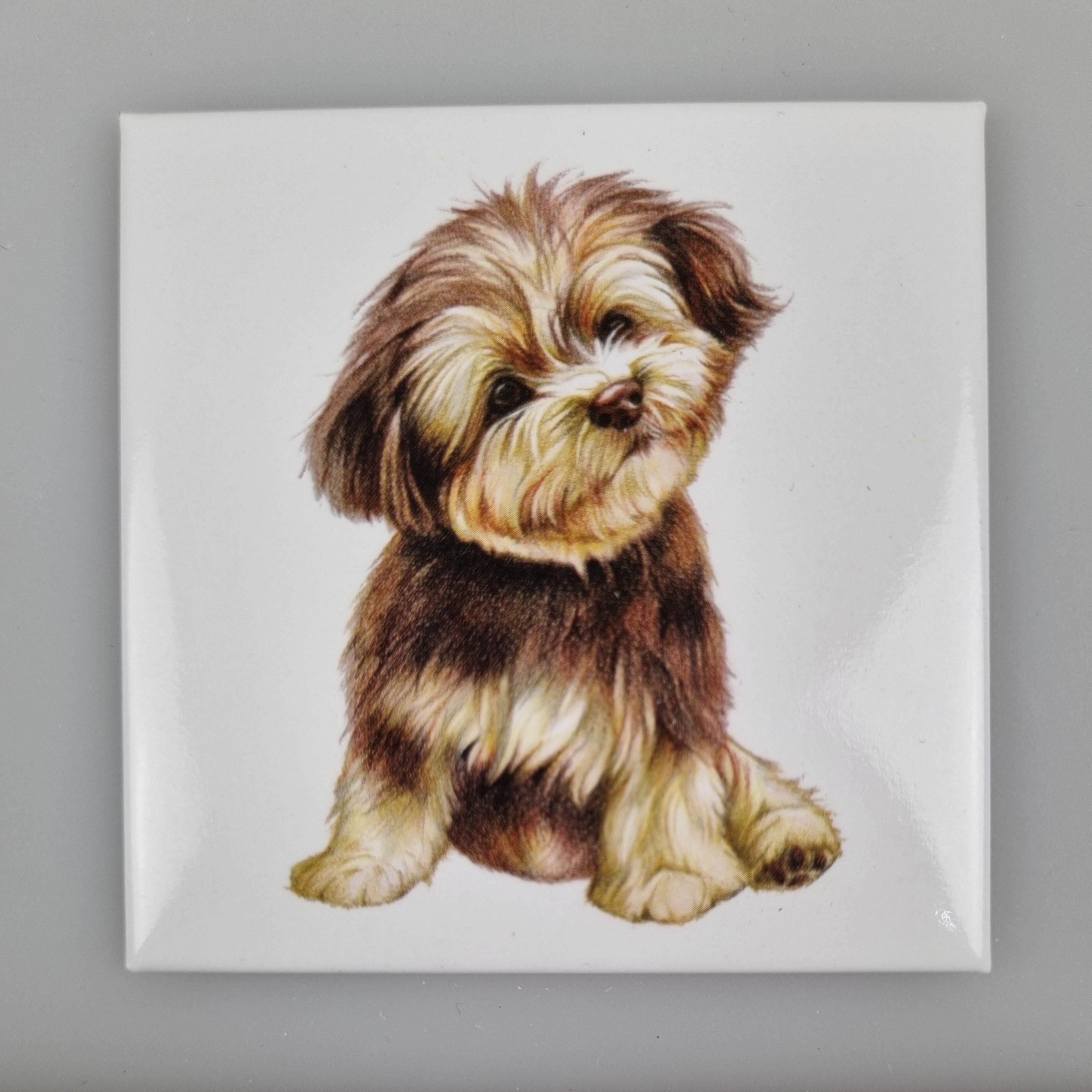 Aimant de réfrigérateur - Chien Boomer