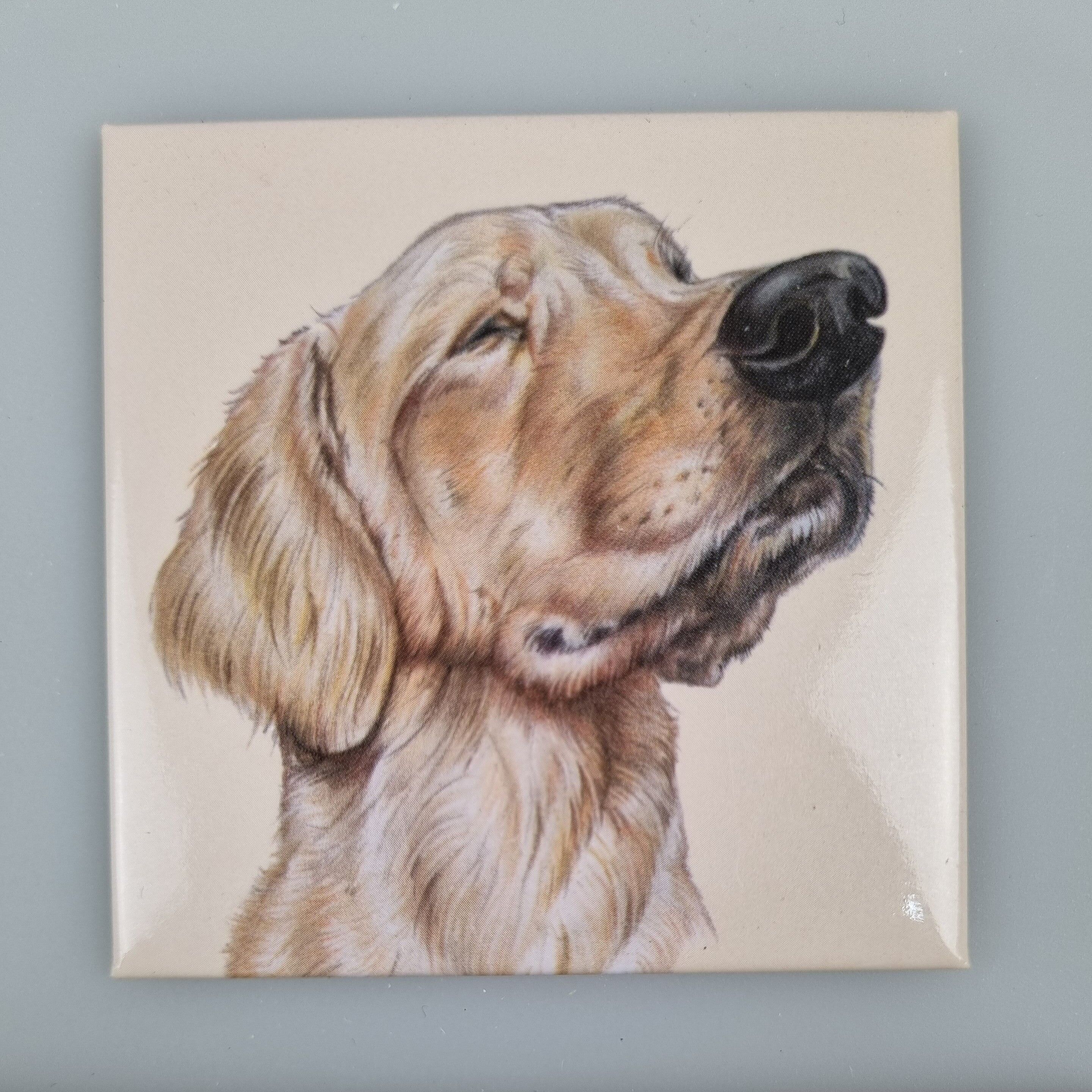 Aimant de réfrigérateur - Labrador Retriever