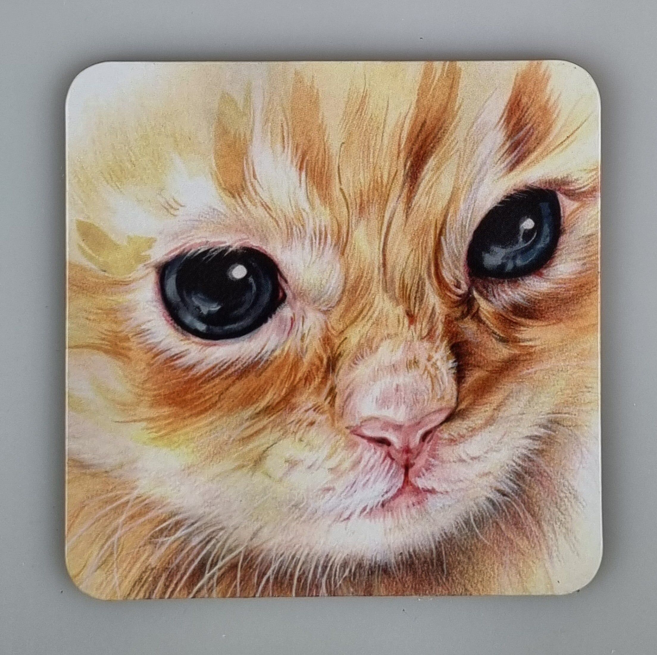 Montagnes russes 38-025 - Tête de chat 1