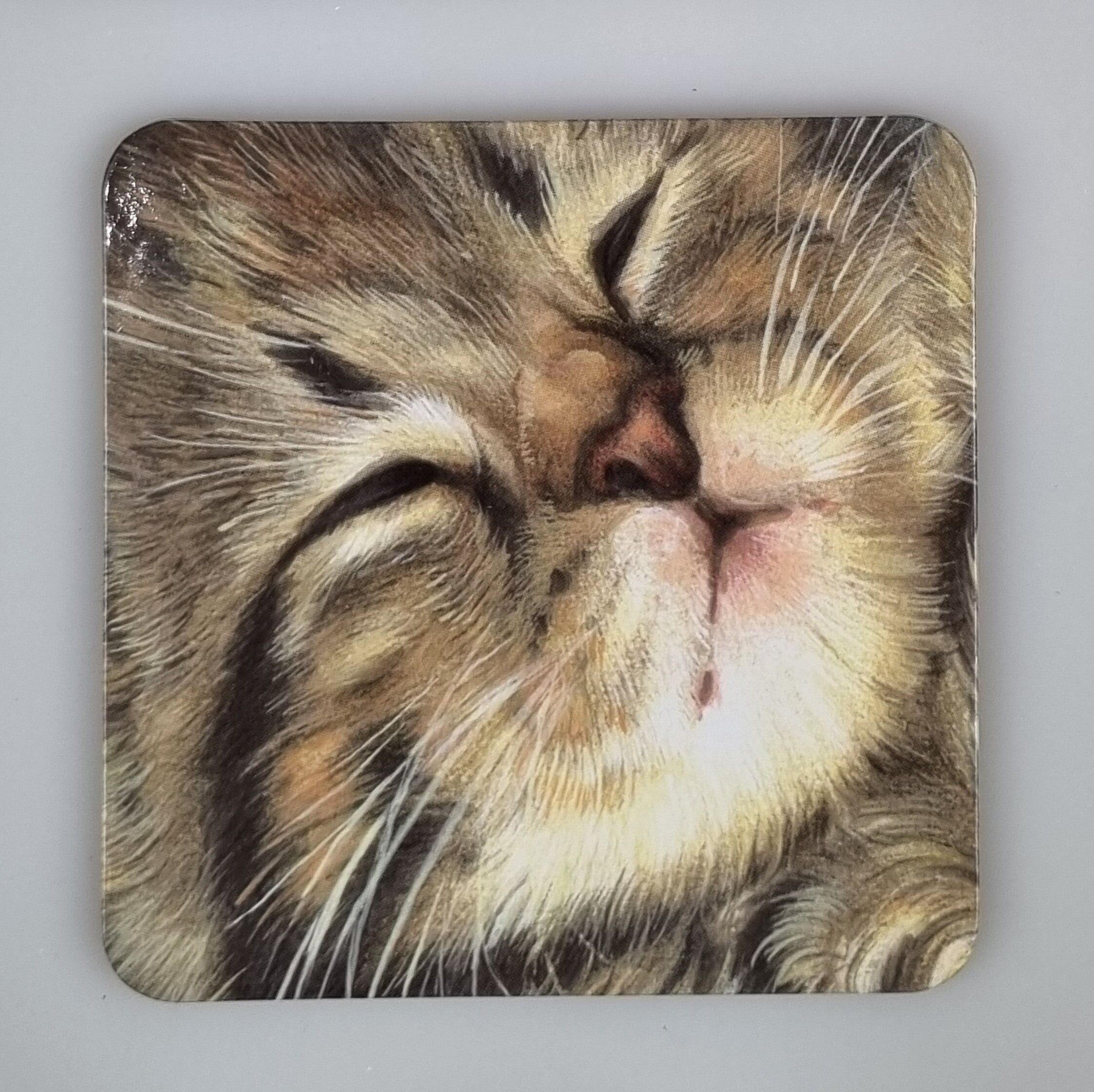 Montagnes russes 38-026 - Tête de chat 2