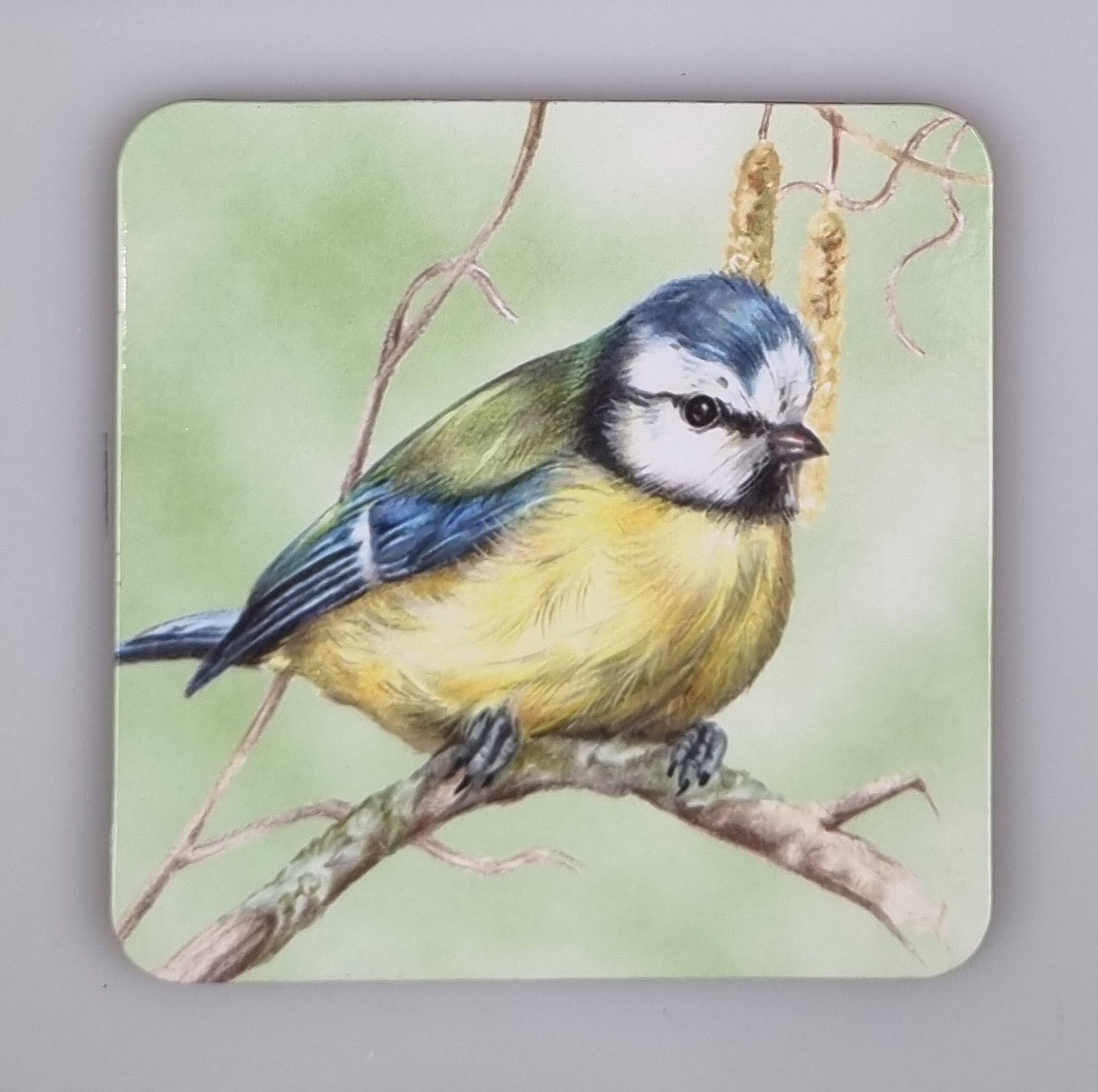 Sous-verre 38-029 - Oiseaux de jardin 1