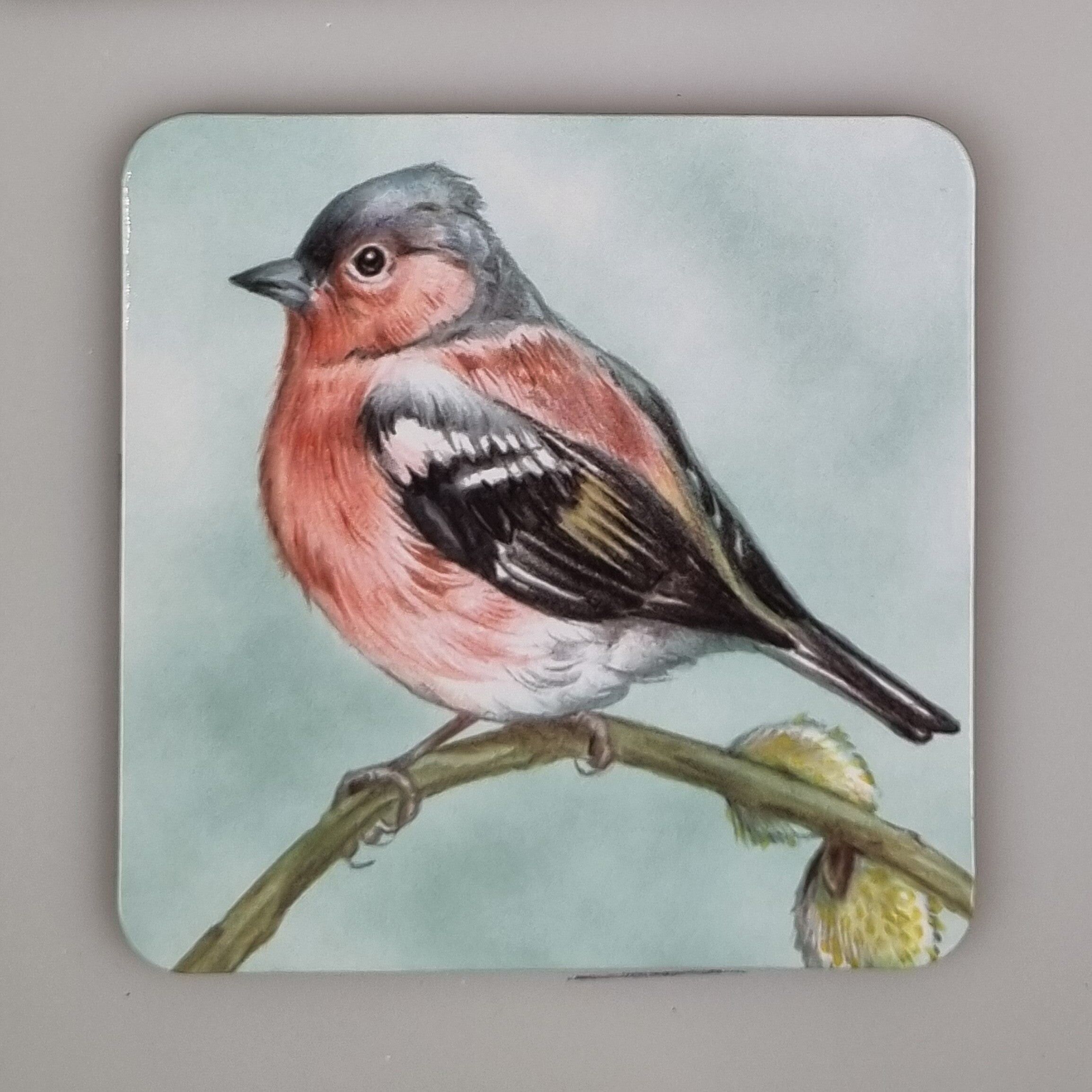 Coaster 38-030 - Oiseaux de jardin 2
