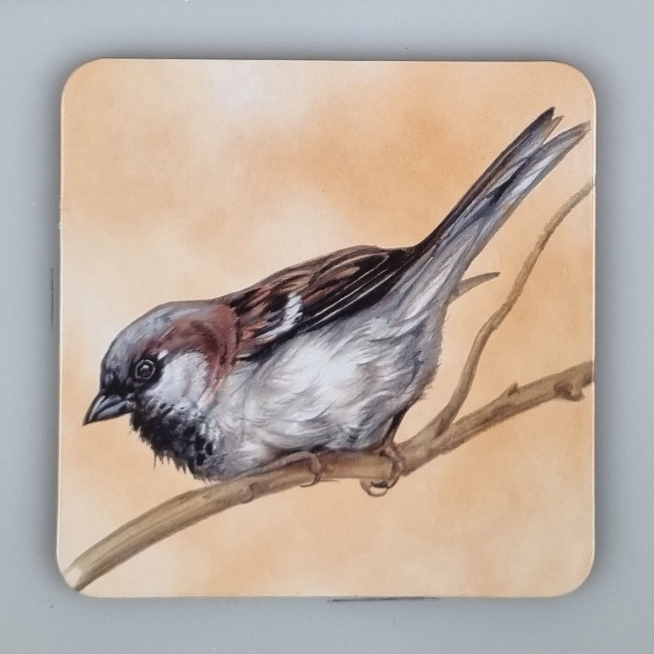 Sous-verre 38-031 - Oiseaux de jardin 3