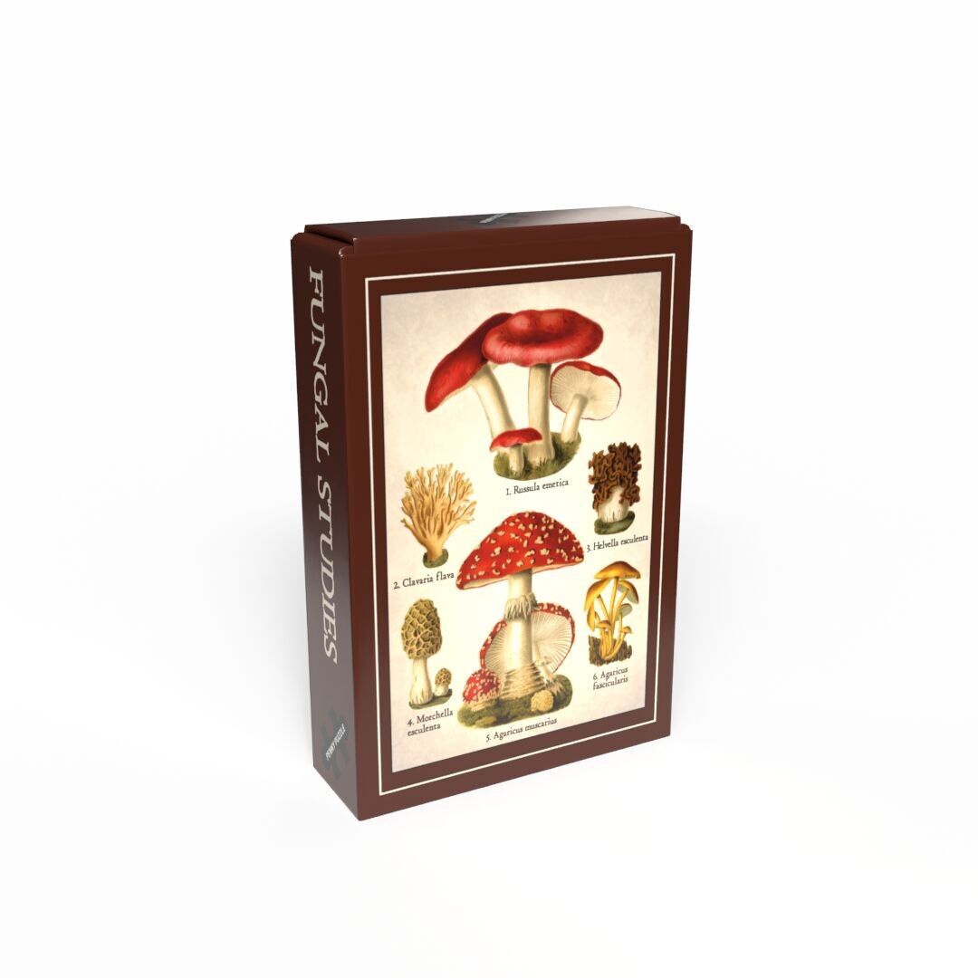 Pilzstudien, 99-teiliges Vintage-Minipuzzle