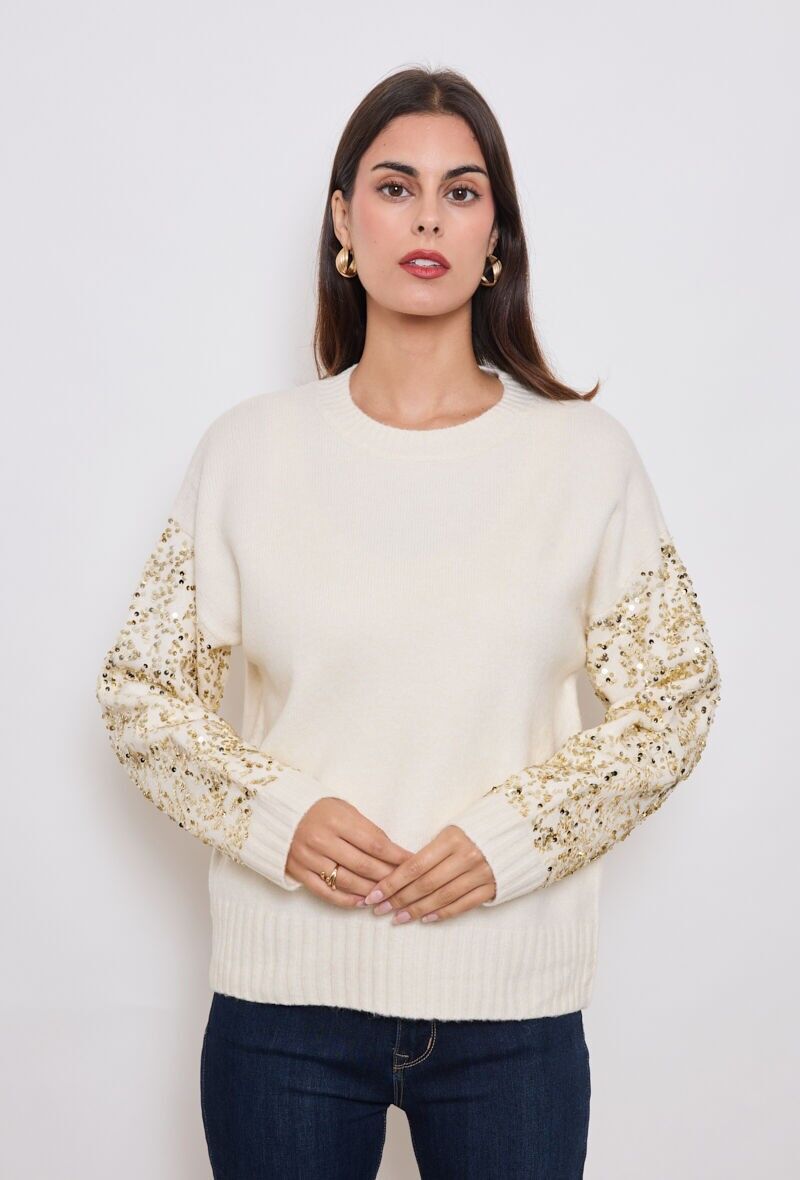 Pull col rond avec manches à sequins