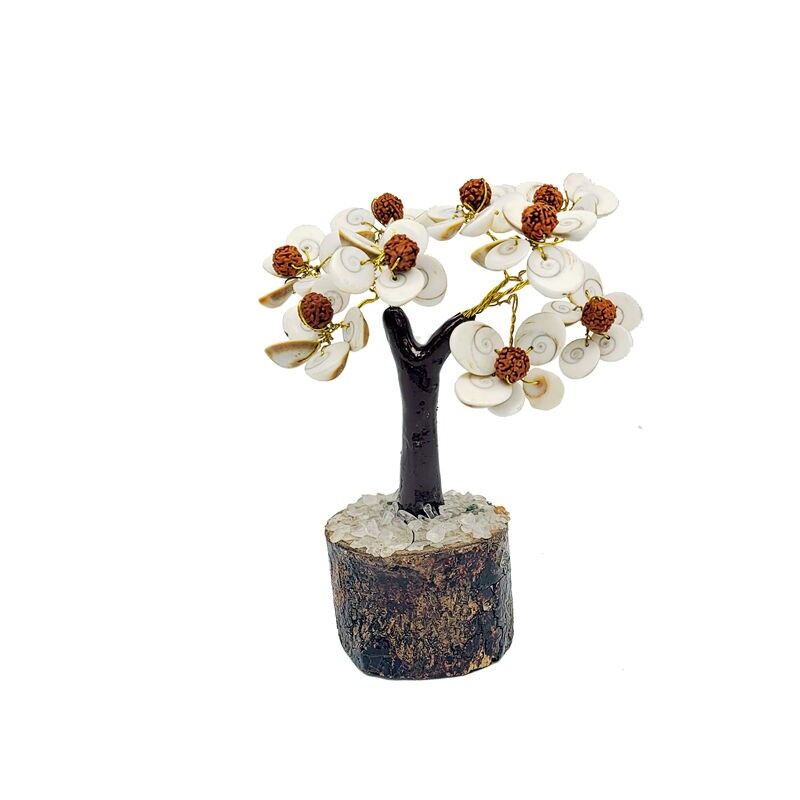Albero della felicità, occhio di Santa Lucia e Rudraksha