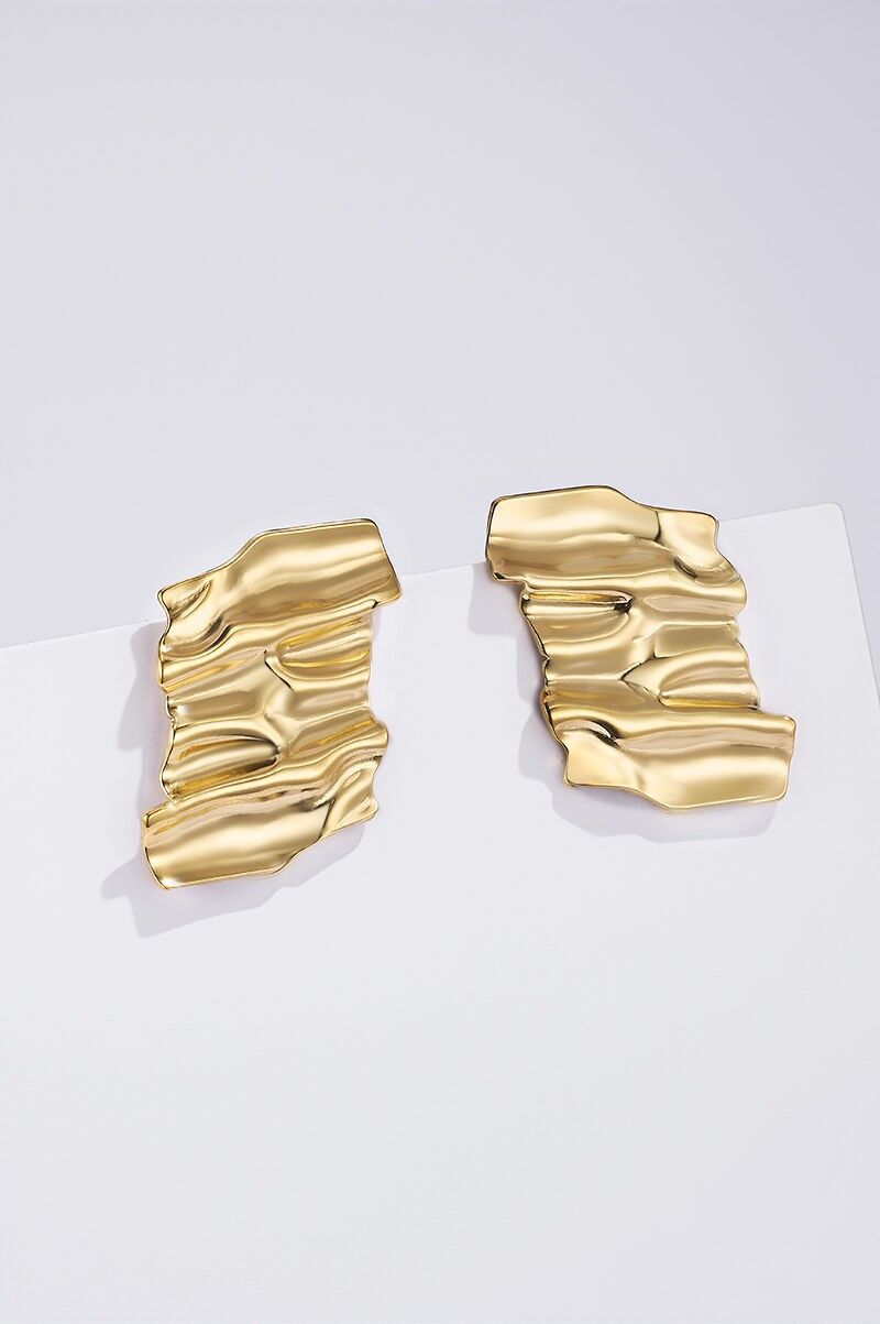 Orecchini in acciaio inossidabile 124RX261