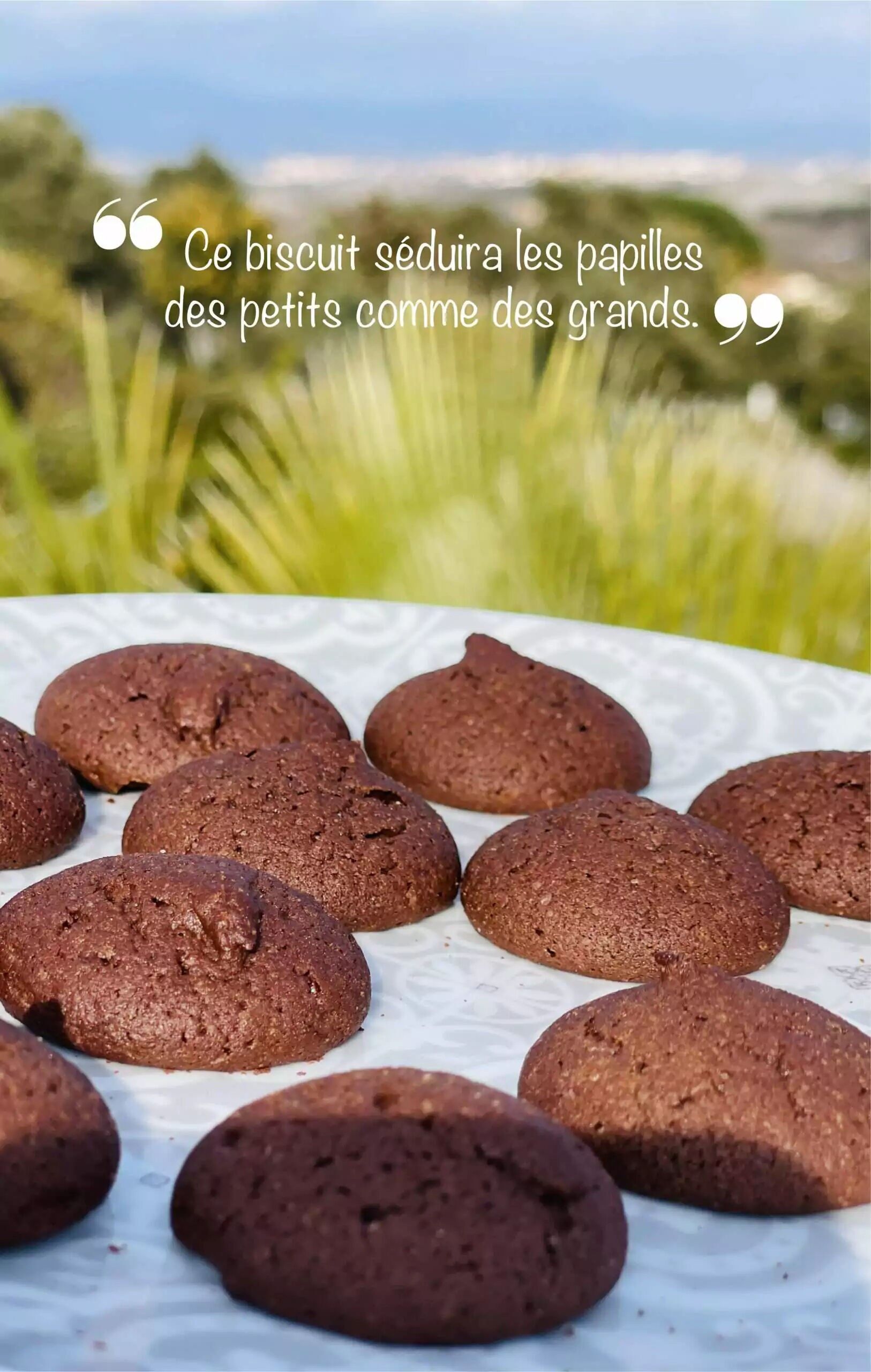 Pure butter artisan biscuits - Chocolate discs - Bag - 200g