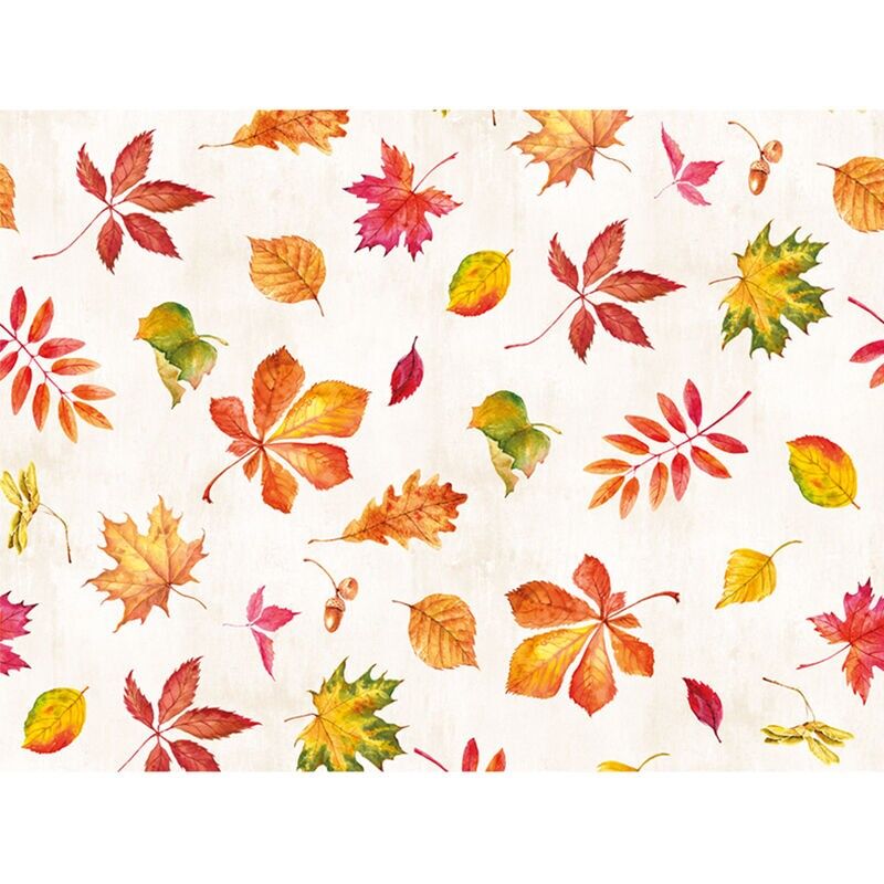 Feuillage dispersé TS