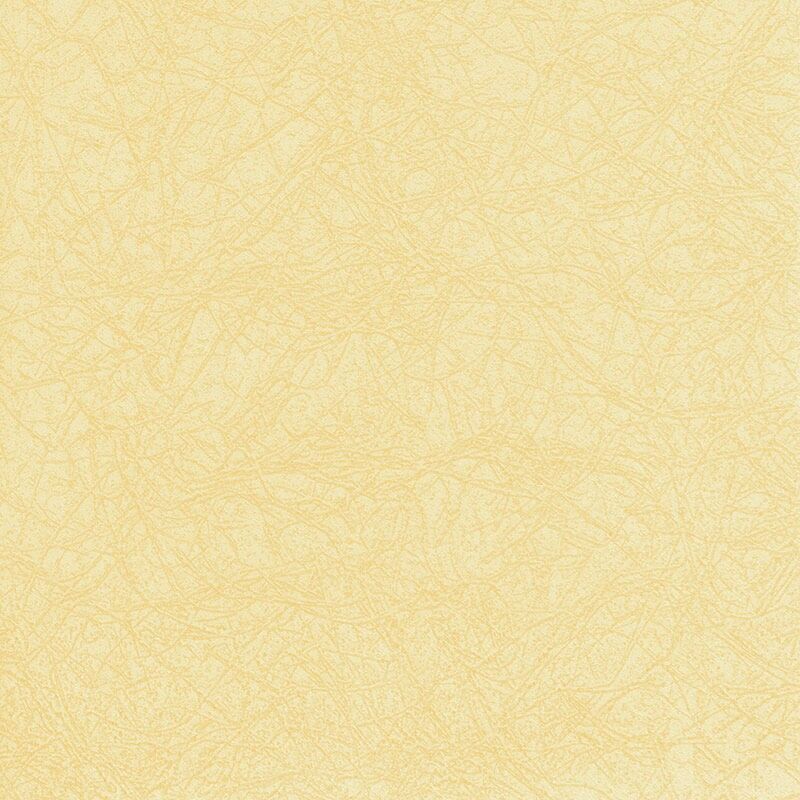 Champagne Modern Colours