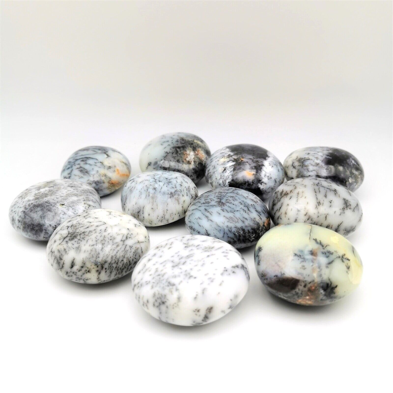 Kieselsteine ​​- Dendritenachat / Merlinit