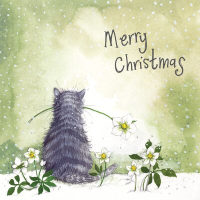 Cat and Snow Roses Christmas Card Pack (Pack of 5 cards)