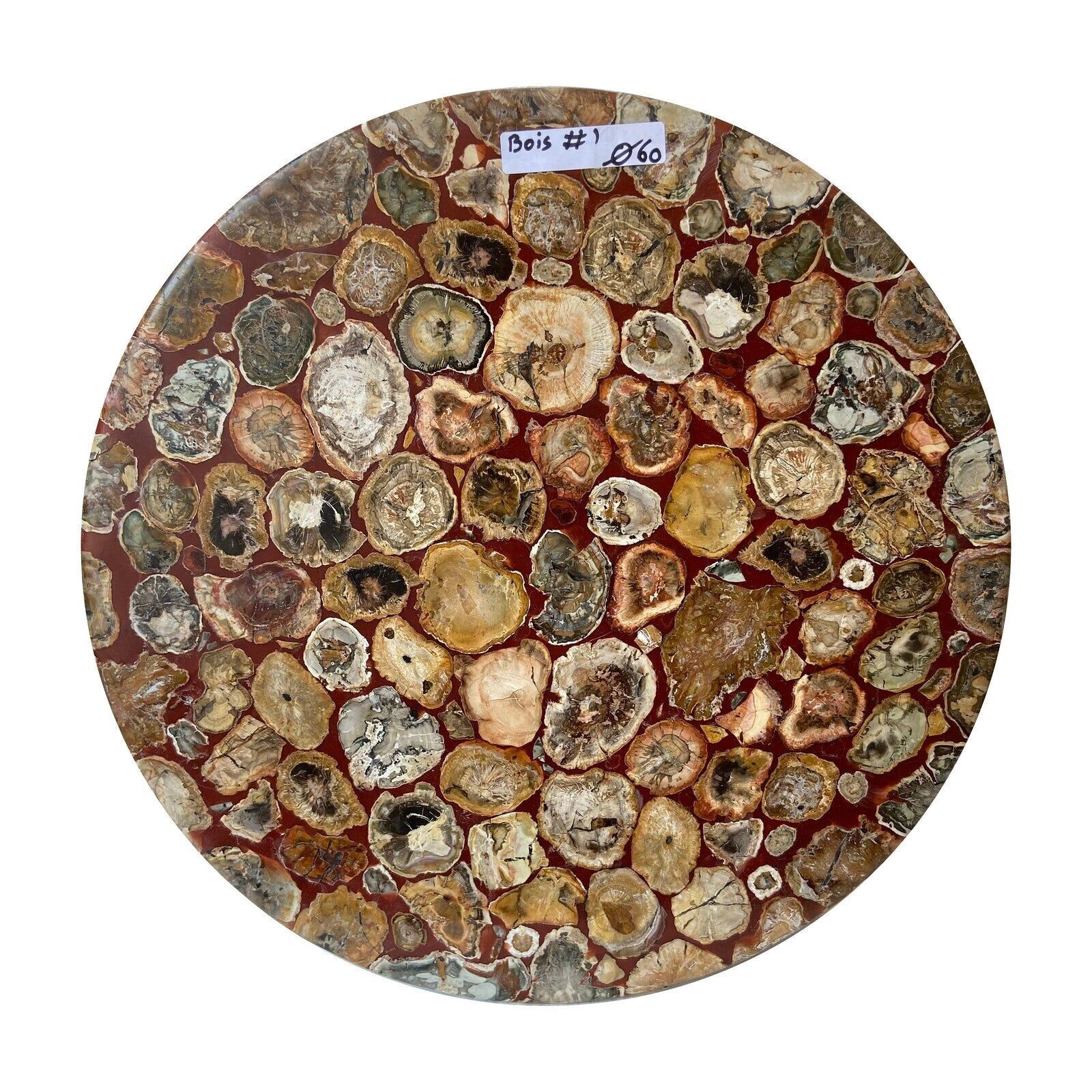 Runder Tisch - Fossilholz Nr. 1