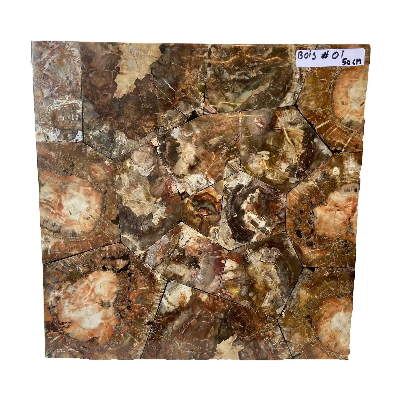 Mesa cuadrada - Madera fósil n.° 1