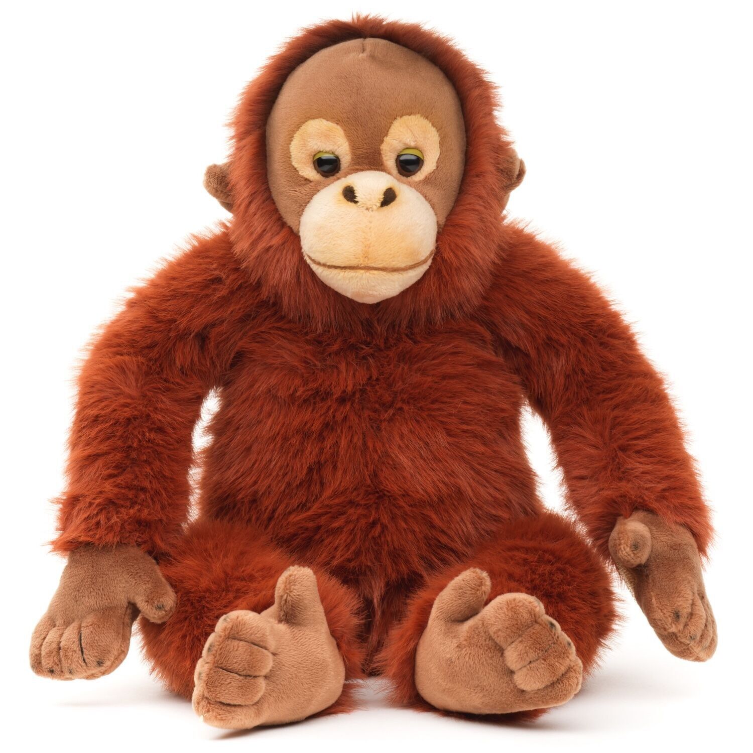 Orang-outan avec fermeture velcro sur les mains - 27 cm (hauteur) - Mots-clés : animal sauvage exotique, singe, peluche, doudou, jouet en peluche