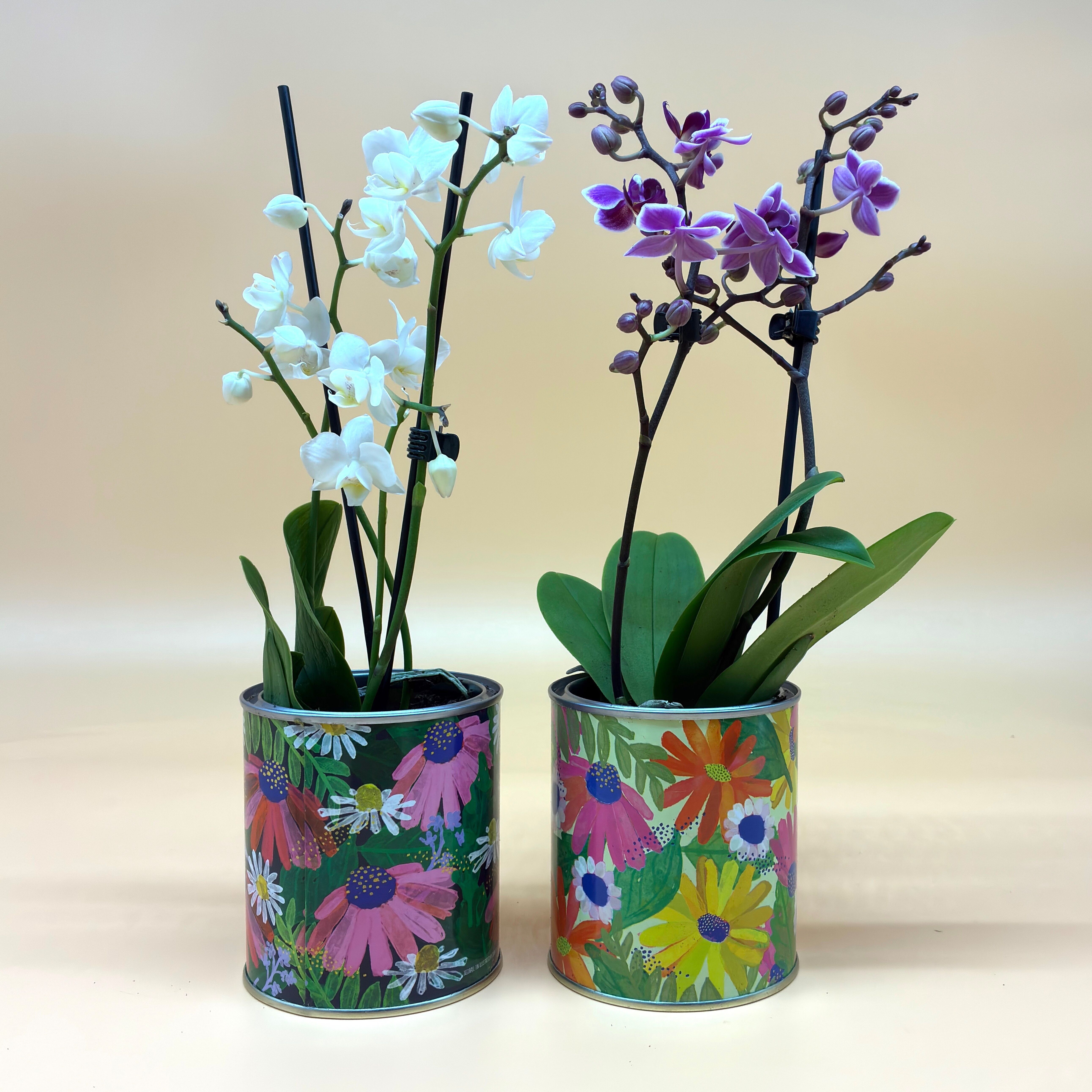 Maceta decorativa o latas de almacenamiento