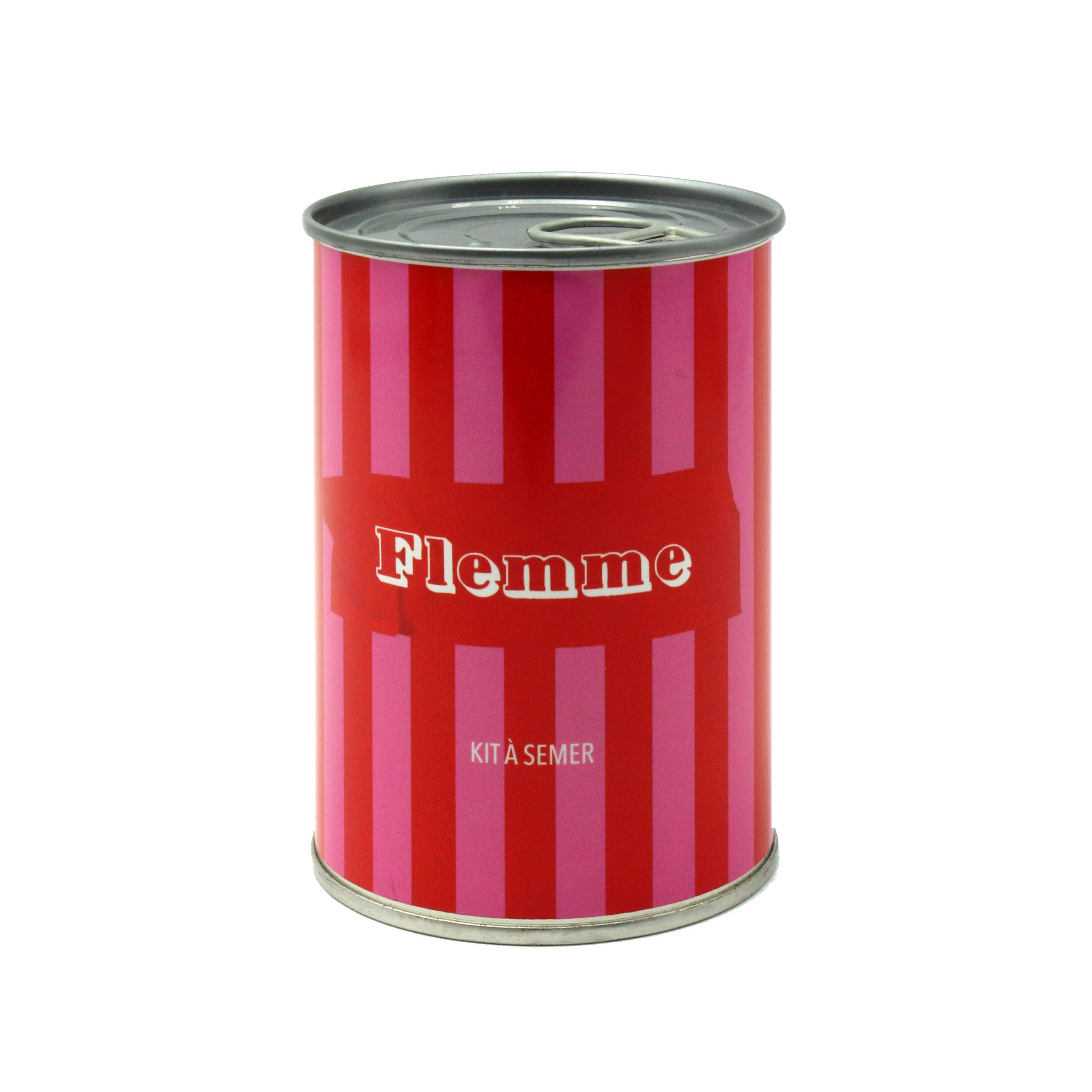 Kit di semi "Lazy" - Prodotto in Francia