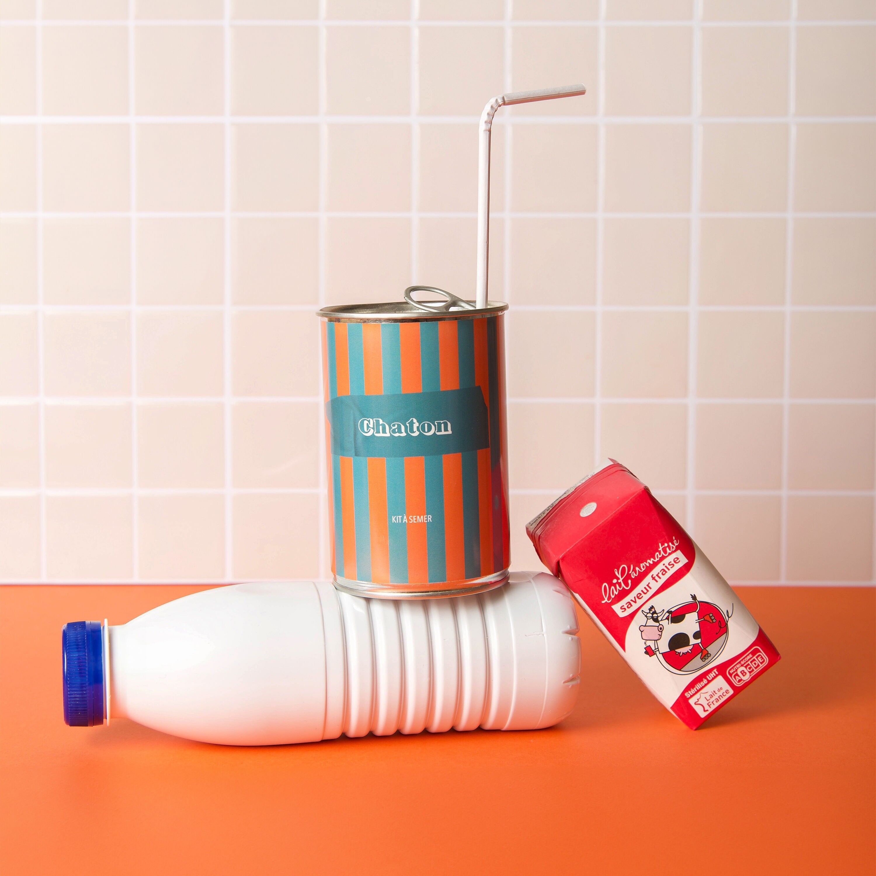 "Kitten" Seed Kit - Made in France