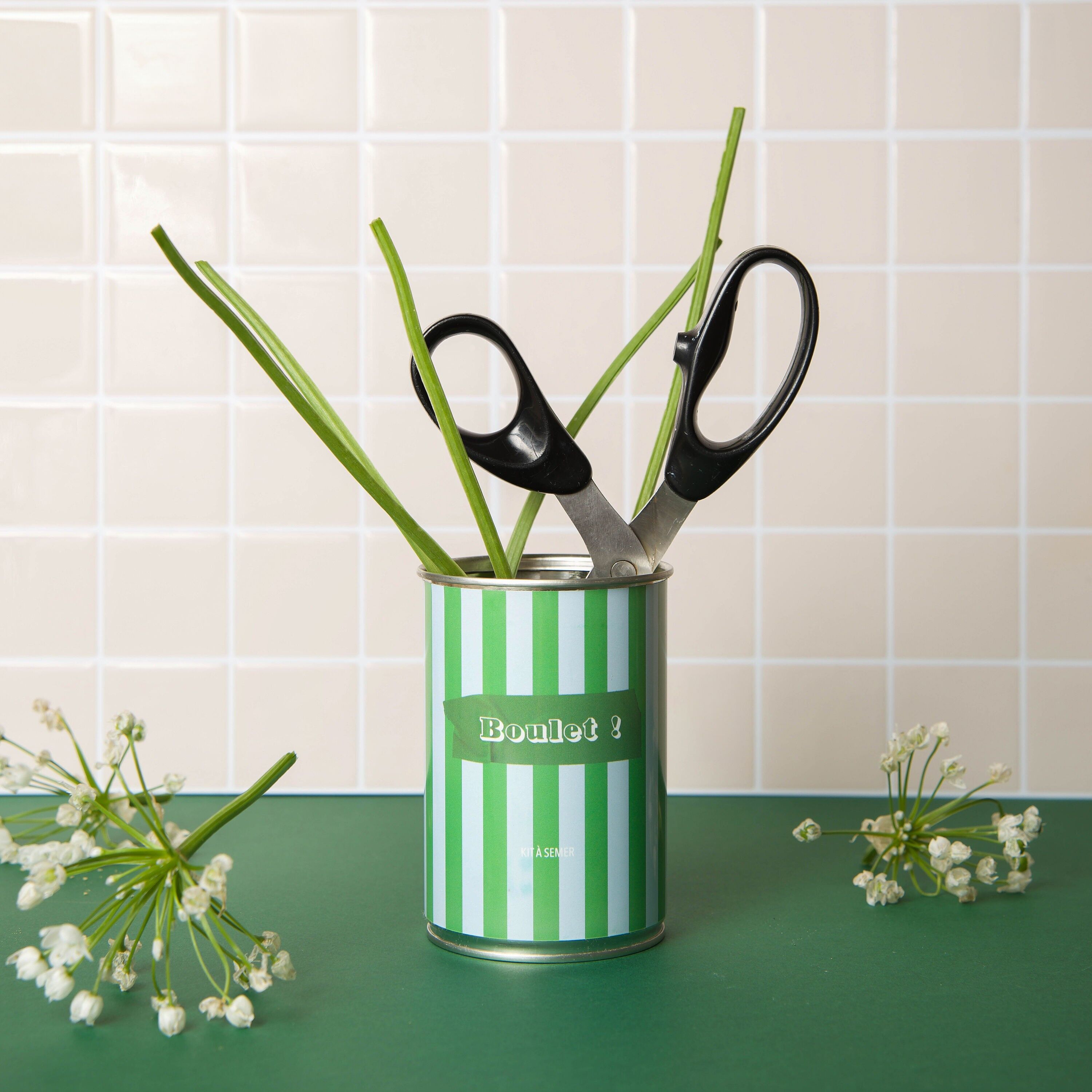 "Boulet" Seed Kit - Made in France