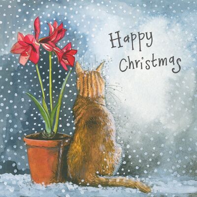 Happy Christmas Cat and Amaryllis Christmas Card Pack (Pack of 5 Cards)