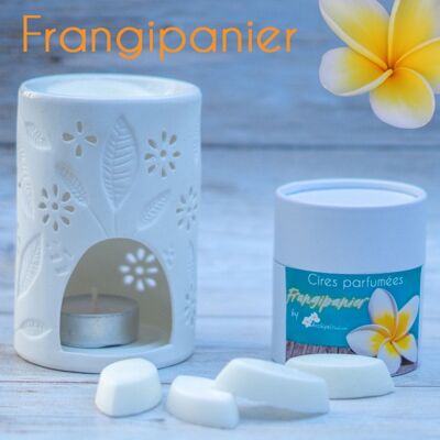Frangipani scented wax