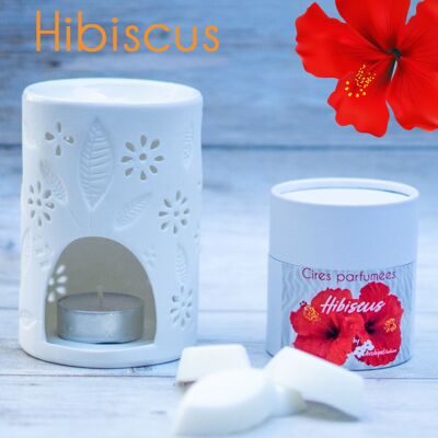HIBISCUS scented waxes