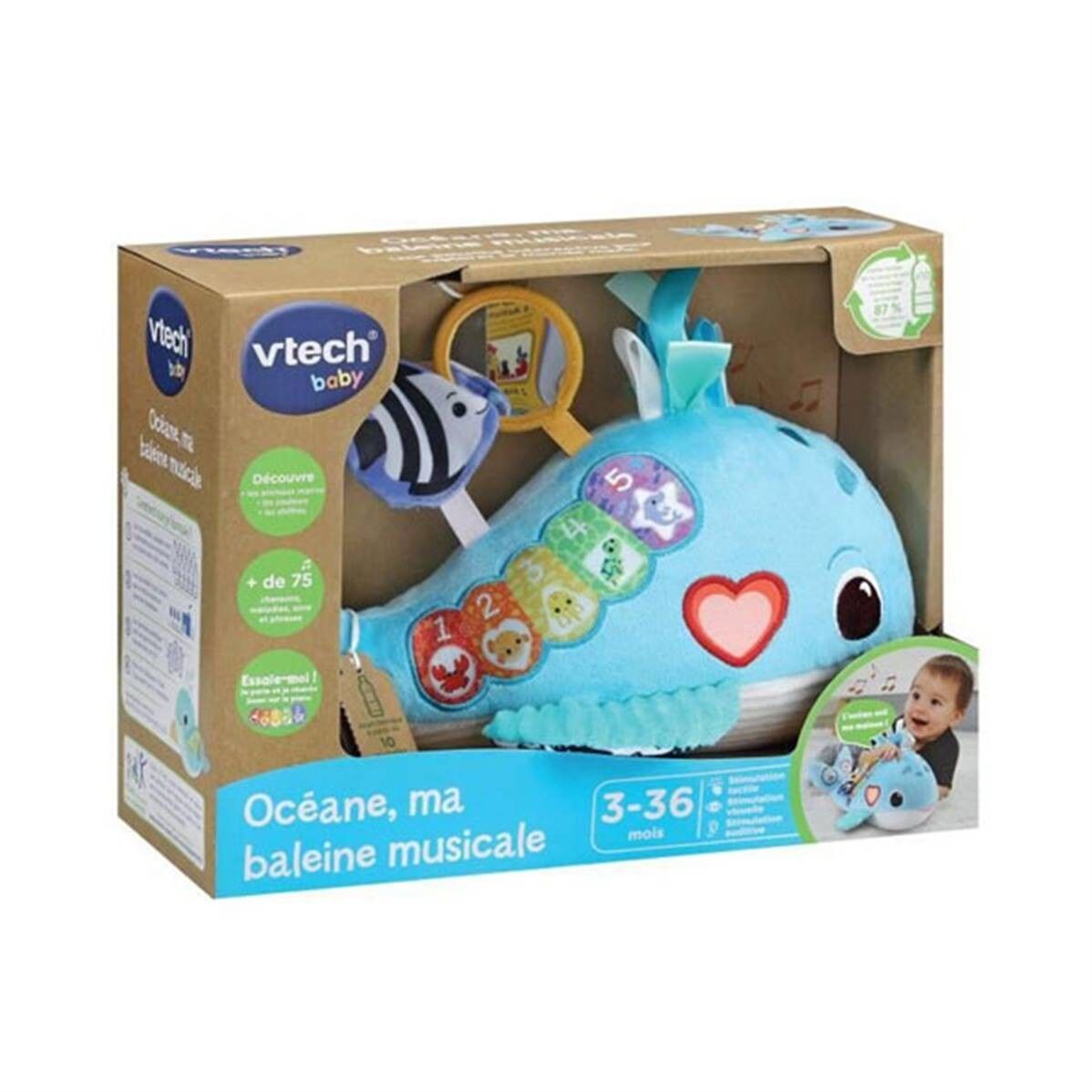 Oceane, la mia balena musicale