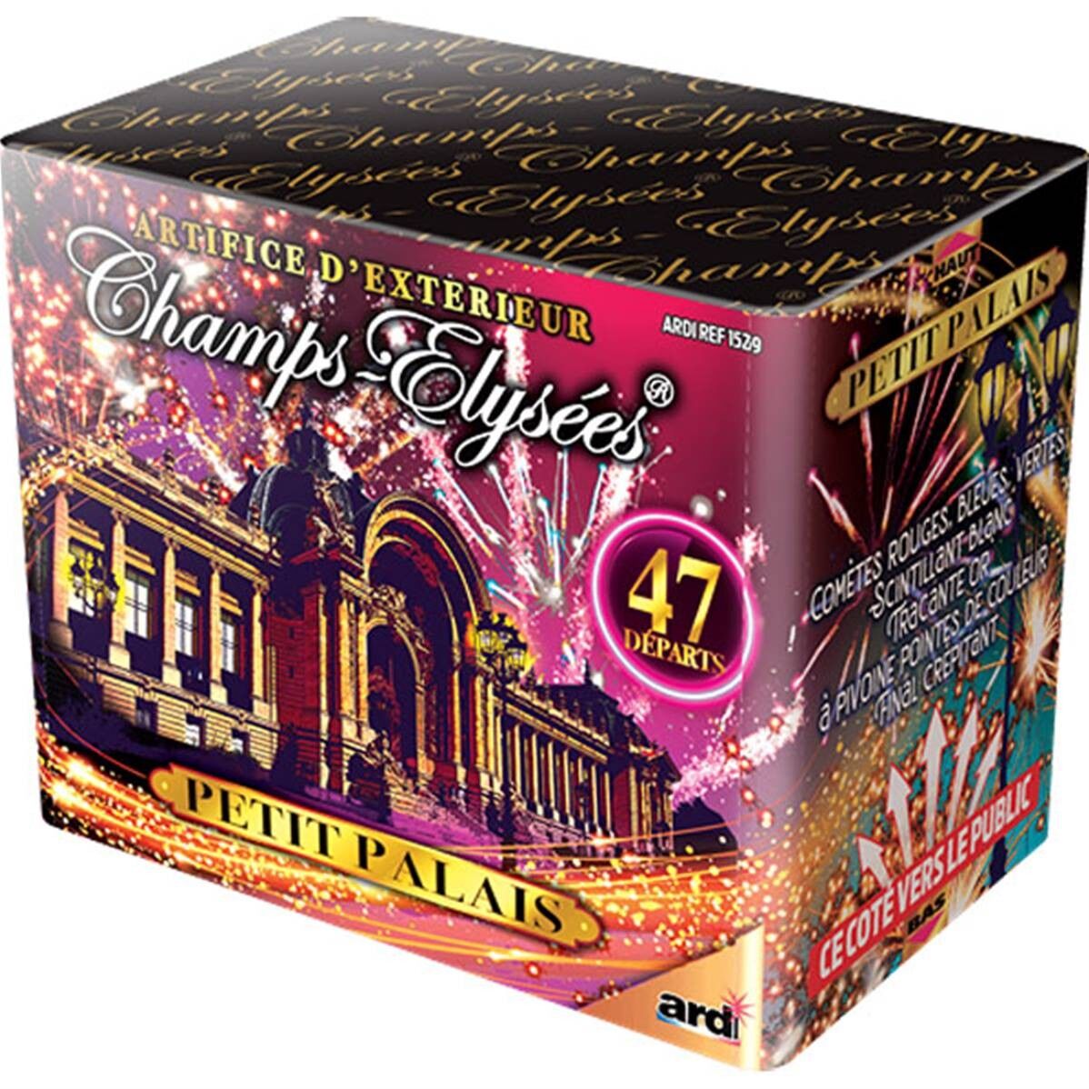 Champs Elysees Petit Palais