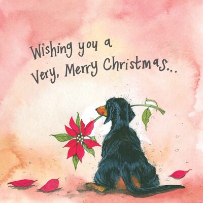 Merry Christmas Dachshund and Poinsettia Christmas Card Pack (Pack of 5 cards)