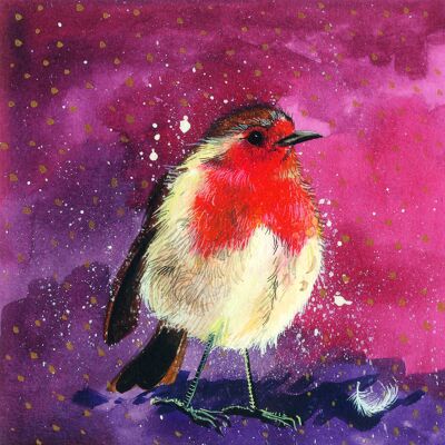 Red Breast Robin Christmas Card Pack (Pack of 5 Cards)