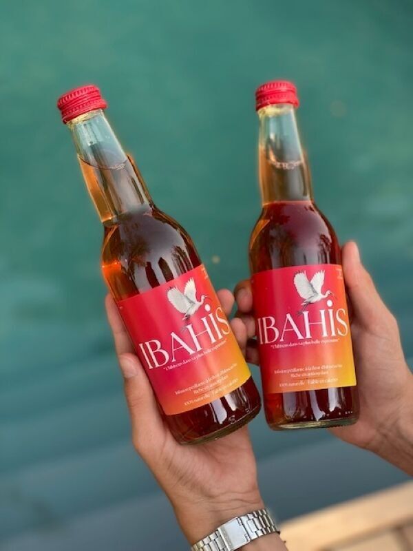 Boisson apéritif détox 100% naturelle à l'infusion de fleurs d'hibiscus bio en bouteille en verre de 33cl (5 cartons x Pack 12)